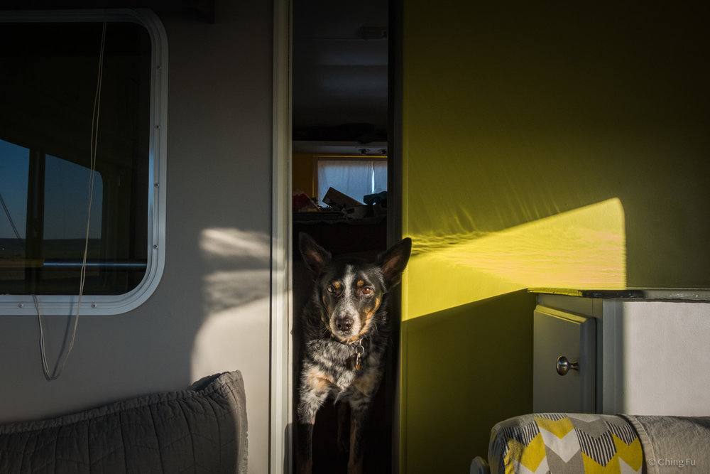 This is what the inside of our rig looks like when we’re too lazy to put the slide out. It’s just enough space for us to squeeze from the main room into the bedroom (where Tyki is).