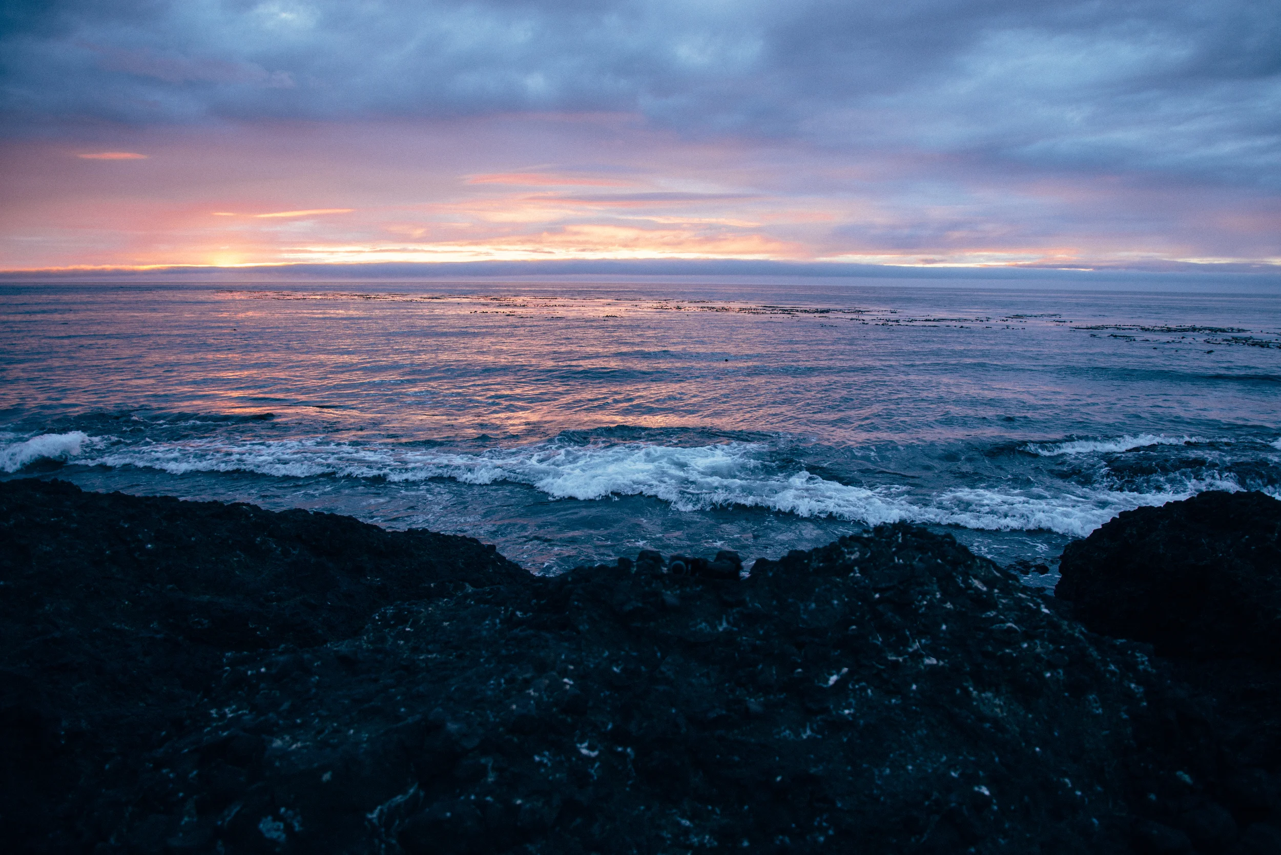 PNWweb-10.jpg