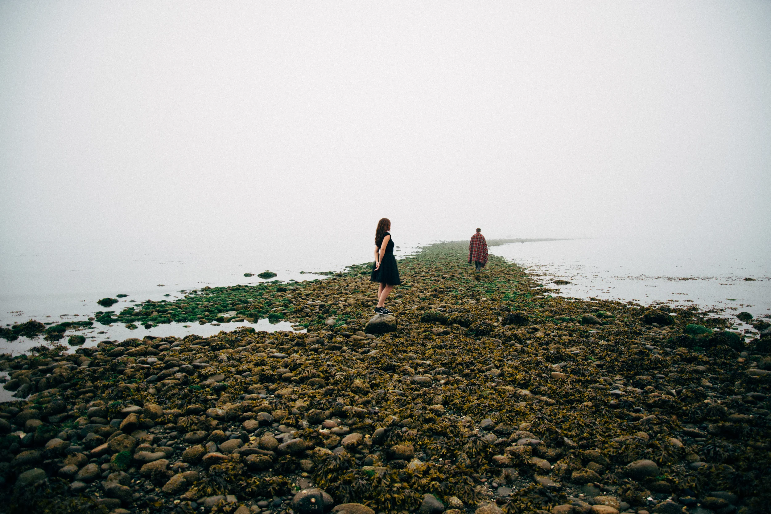 PNWweb-13.jpg