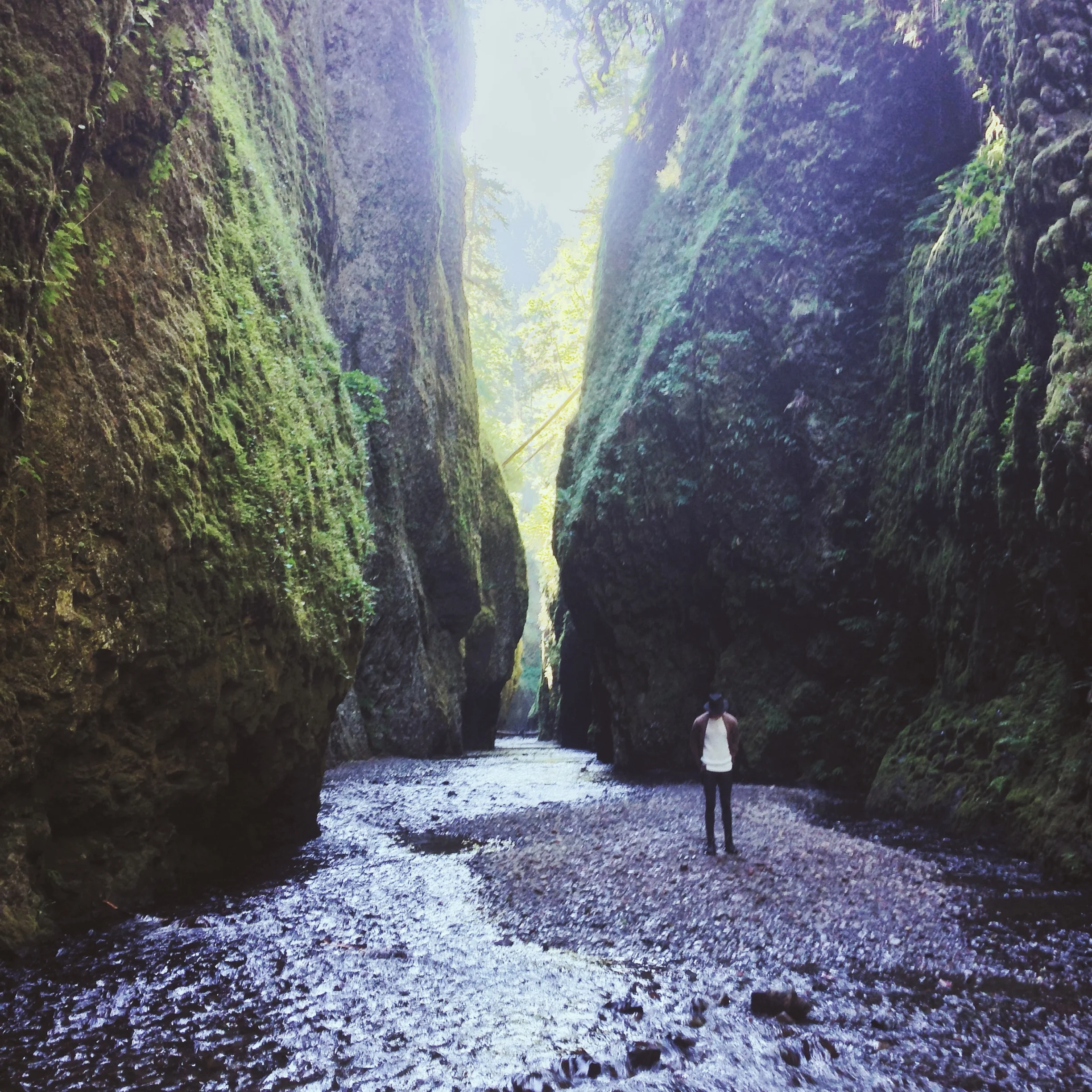 Nathaniel in the Oneonta Gorge
