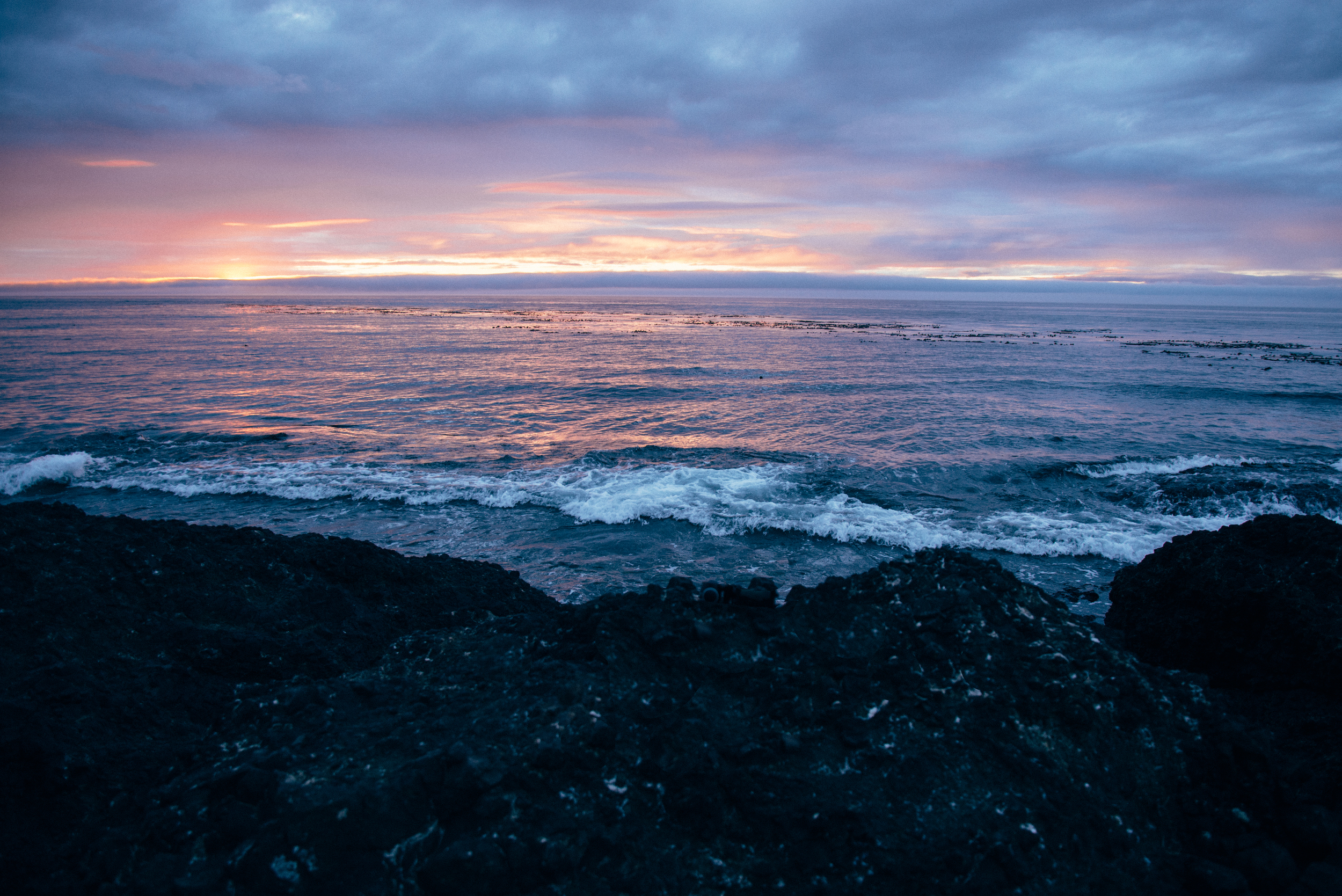 PNWweb-10.jpg
