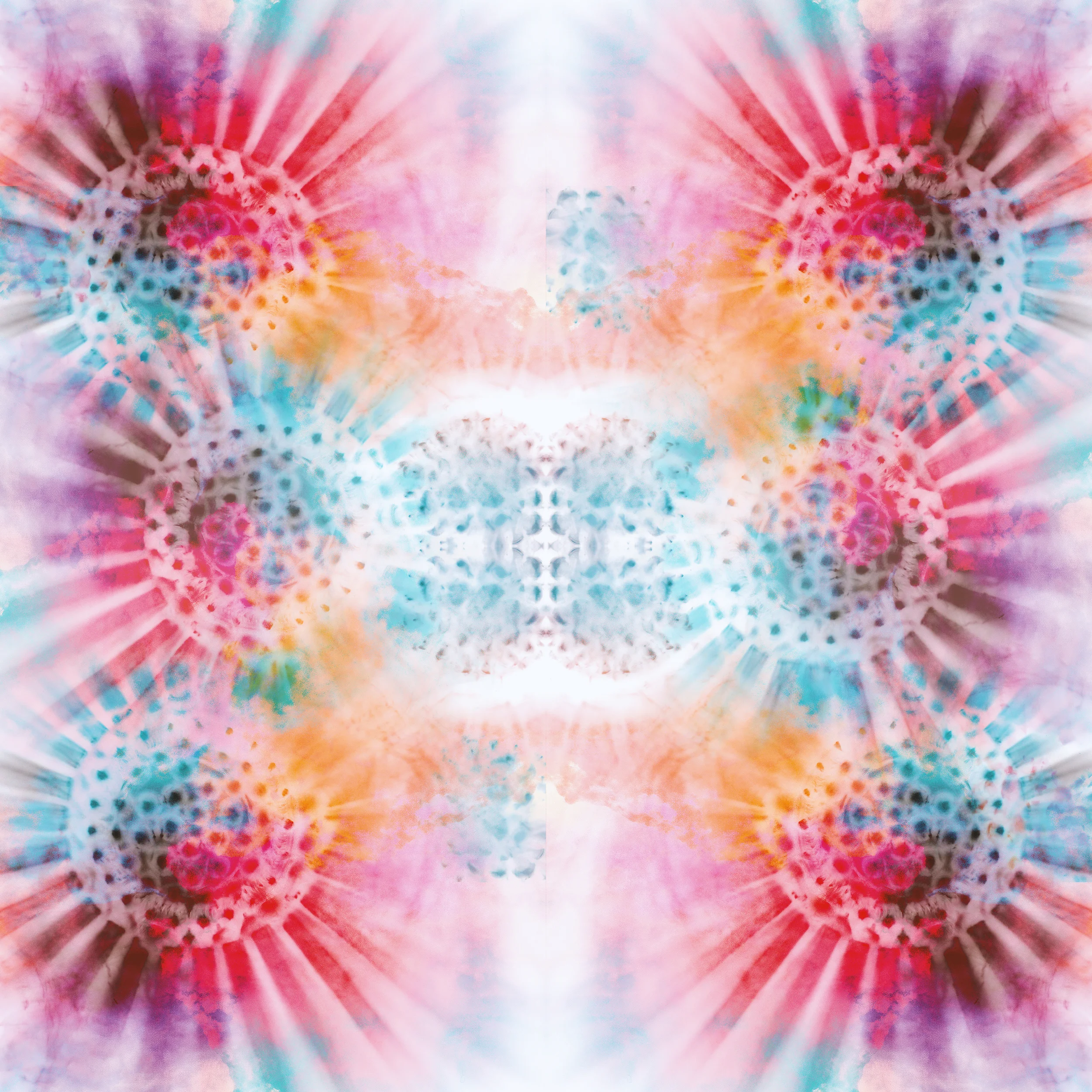 Hippieweb.jpg