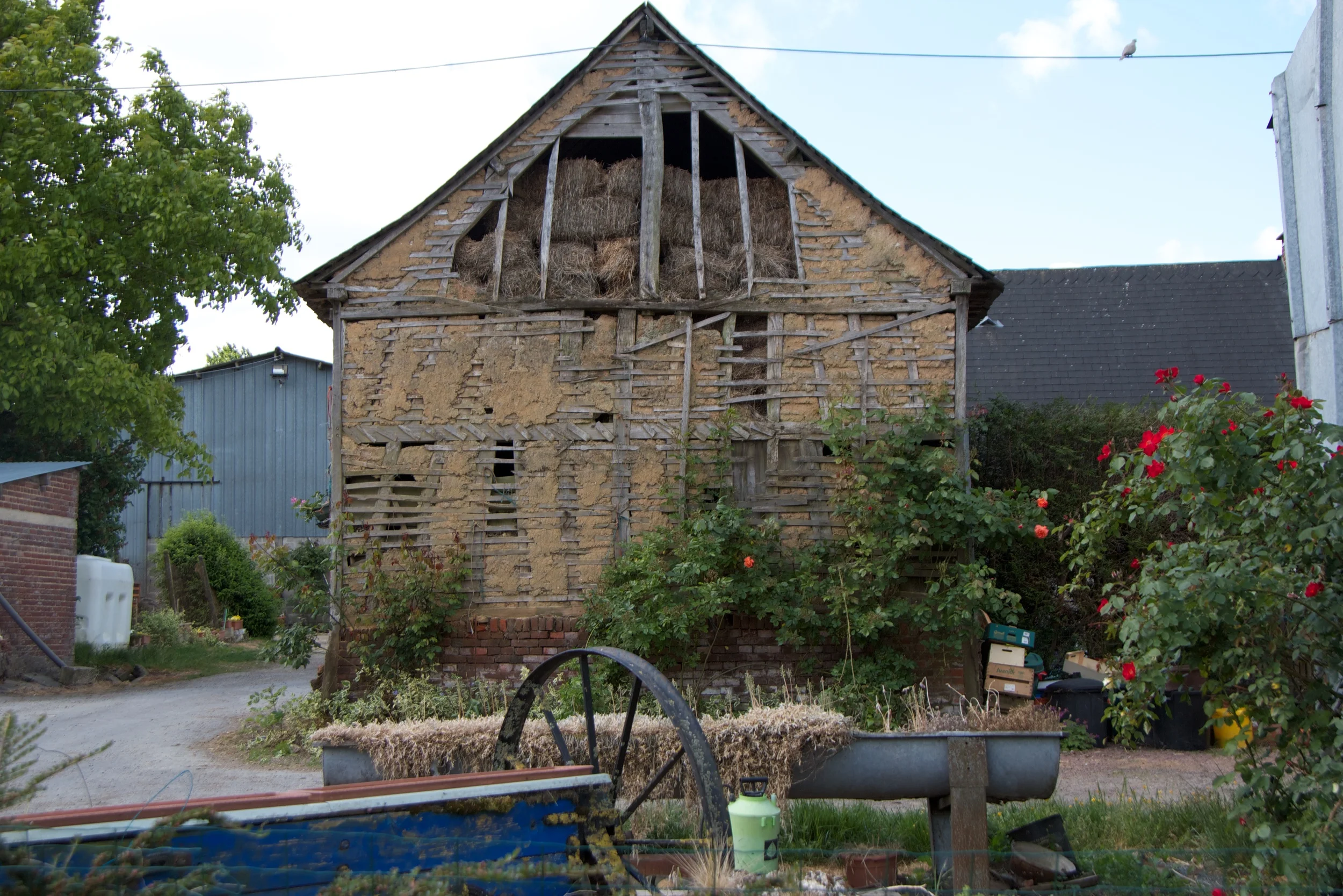 IMG_6784 - Version 2.jpg