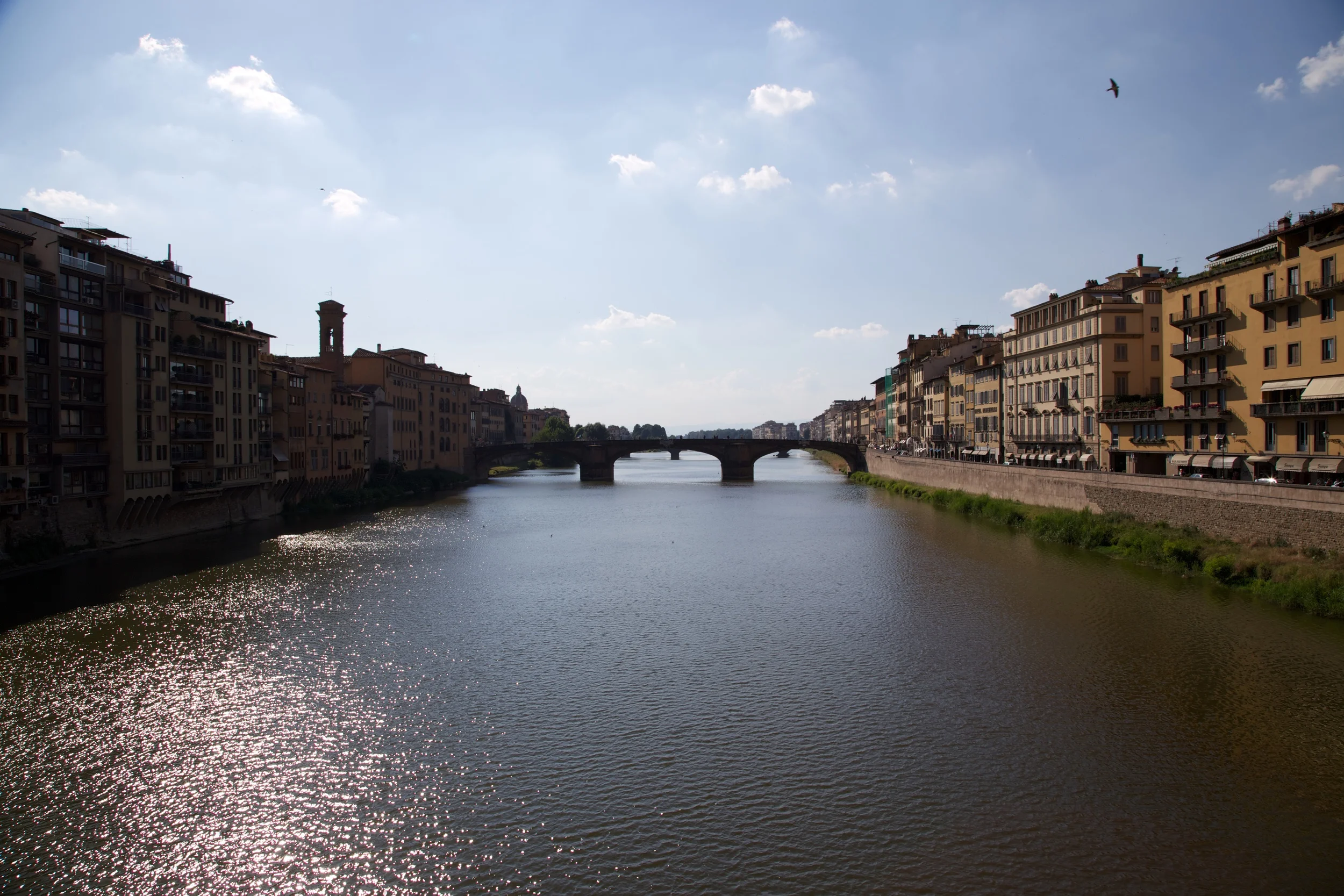 IMG_1797.jpg