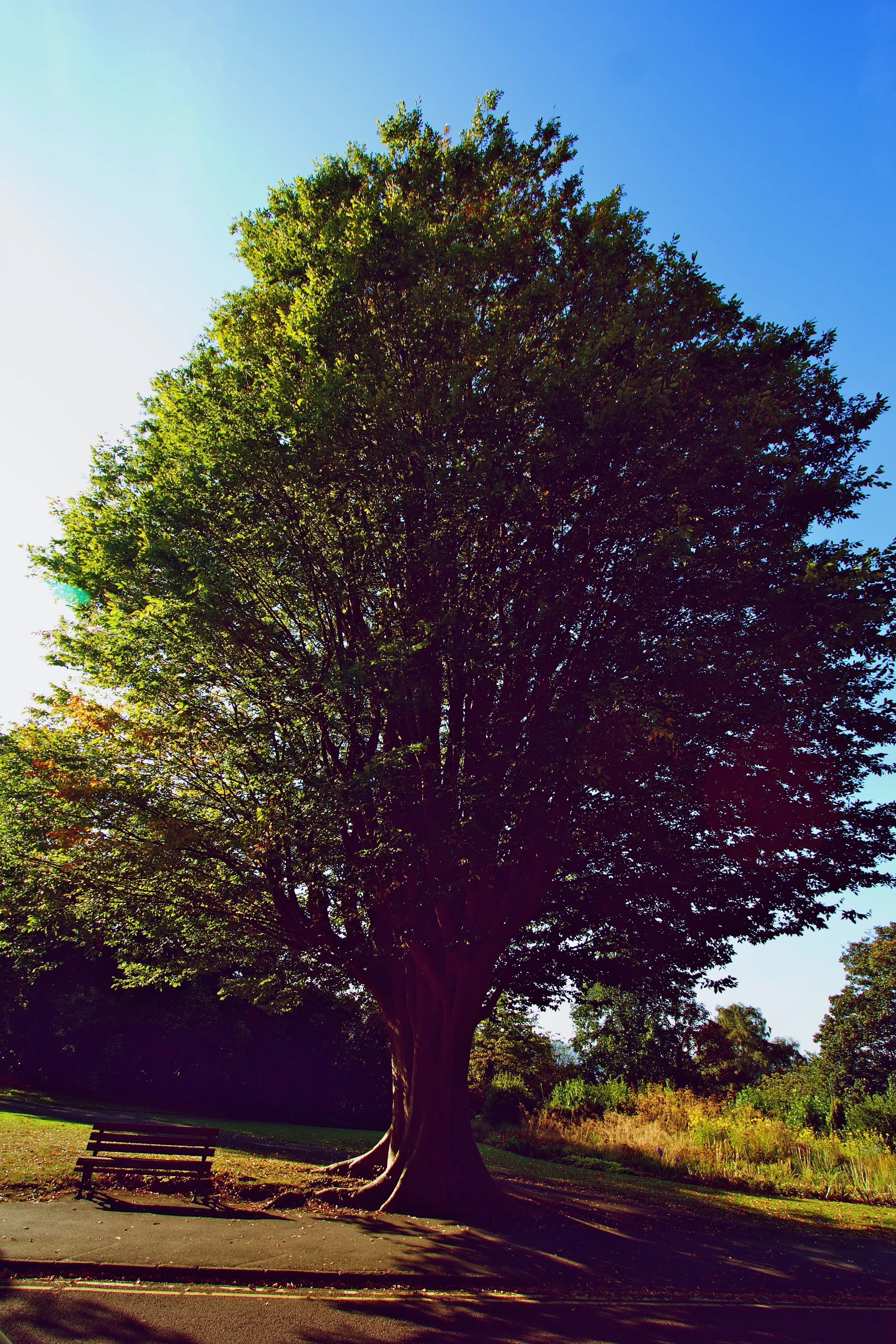 IMG_8863.jpg