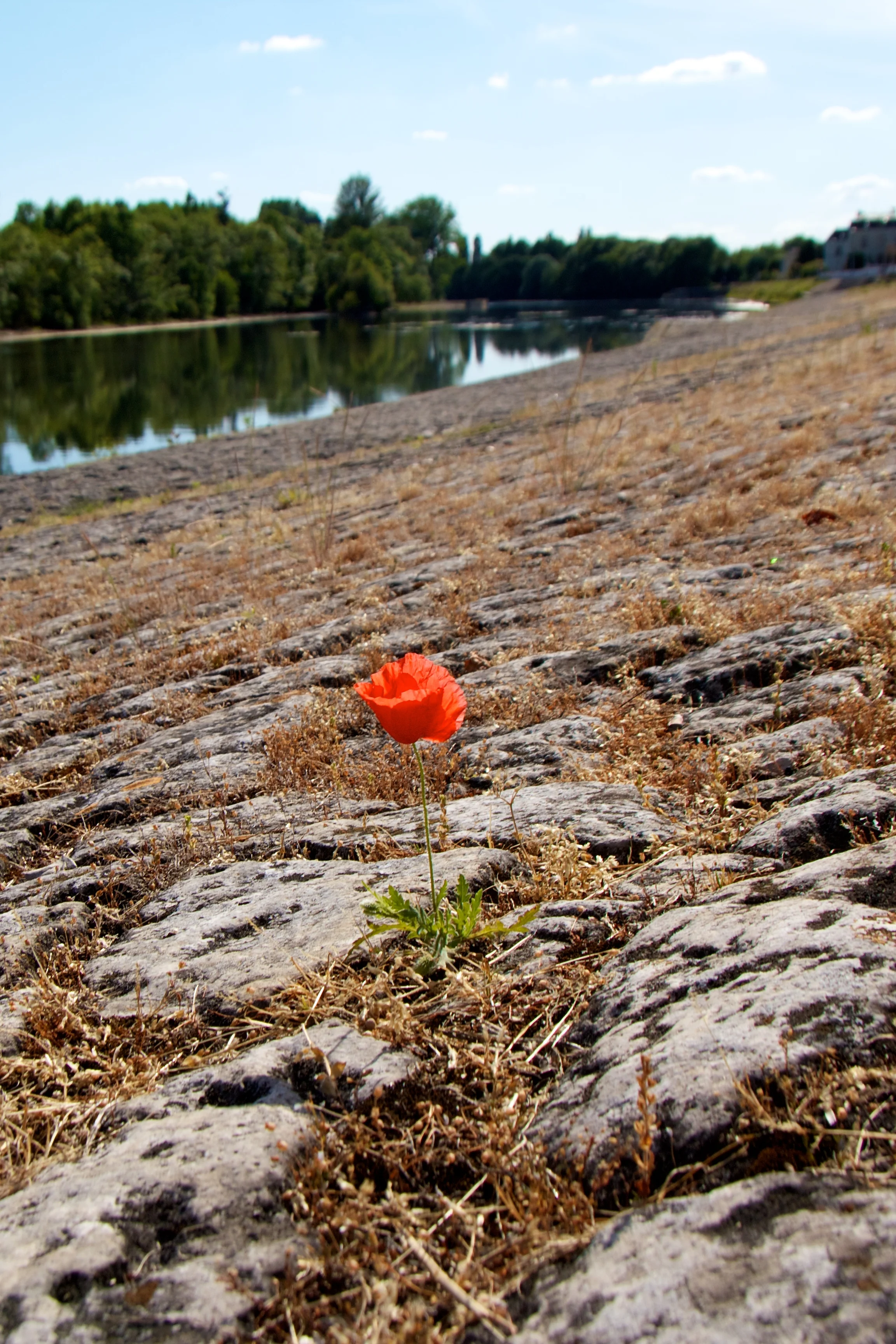 IMG_8937.jpg