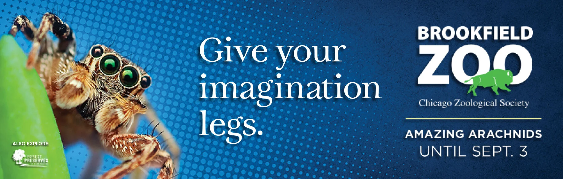 BFZ-22603_Imagination_Legs_280x880_v3 copy.jpg