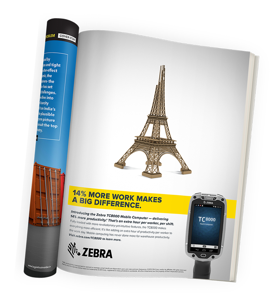 Zebra-Eiffel copy.png