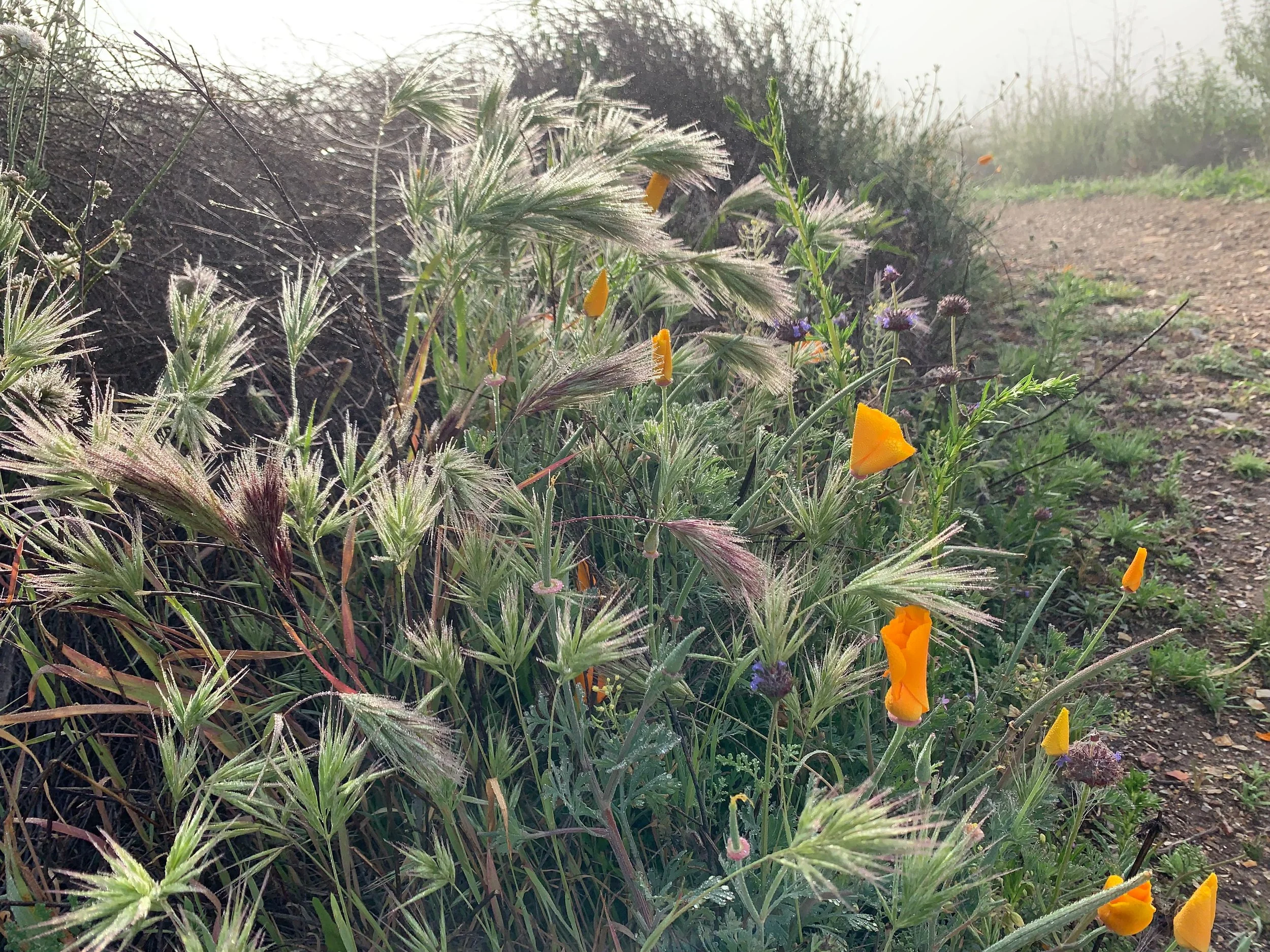 JMKL Creative_Immersion_Inspiration Photos_Nature Walk_Collection One 14.jpg