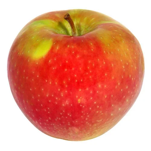 apple.jpg