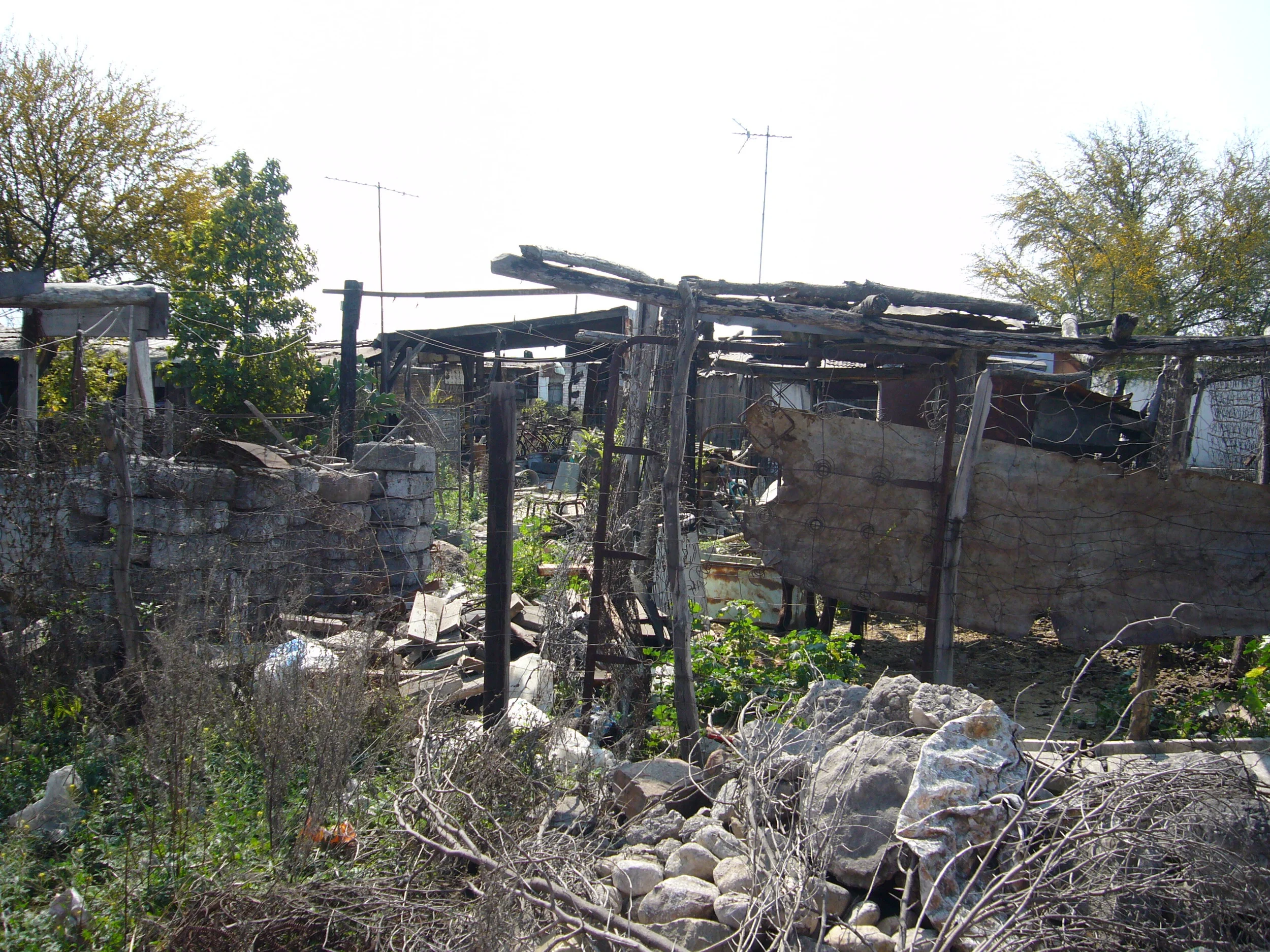 slum 1.jpg