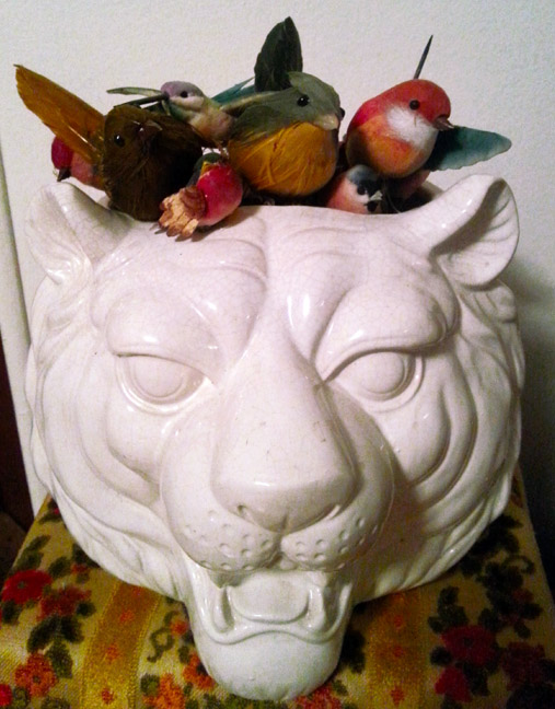 I love this killer Japanese tiger head ceramic planter I picked up a few months ago. Keeper.