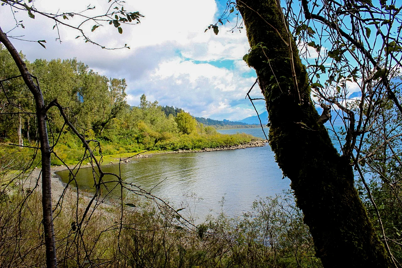 the cove