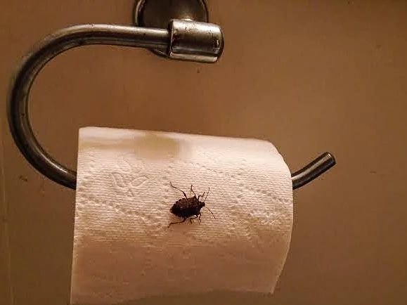 Look before you wipe!