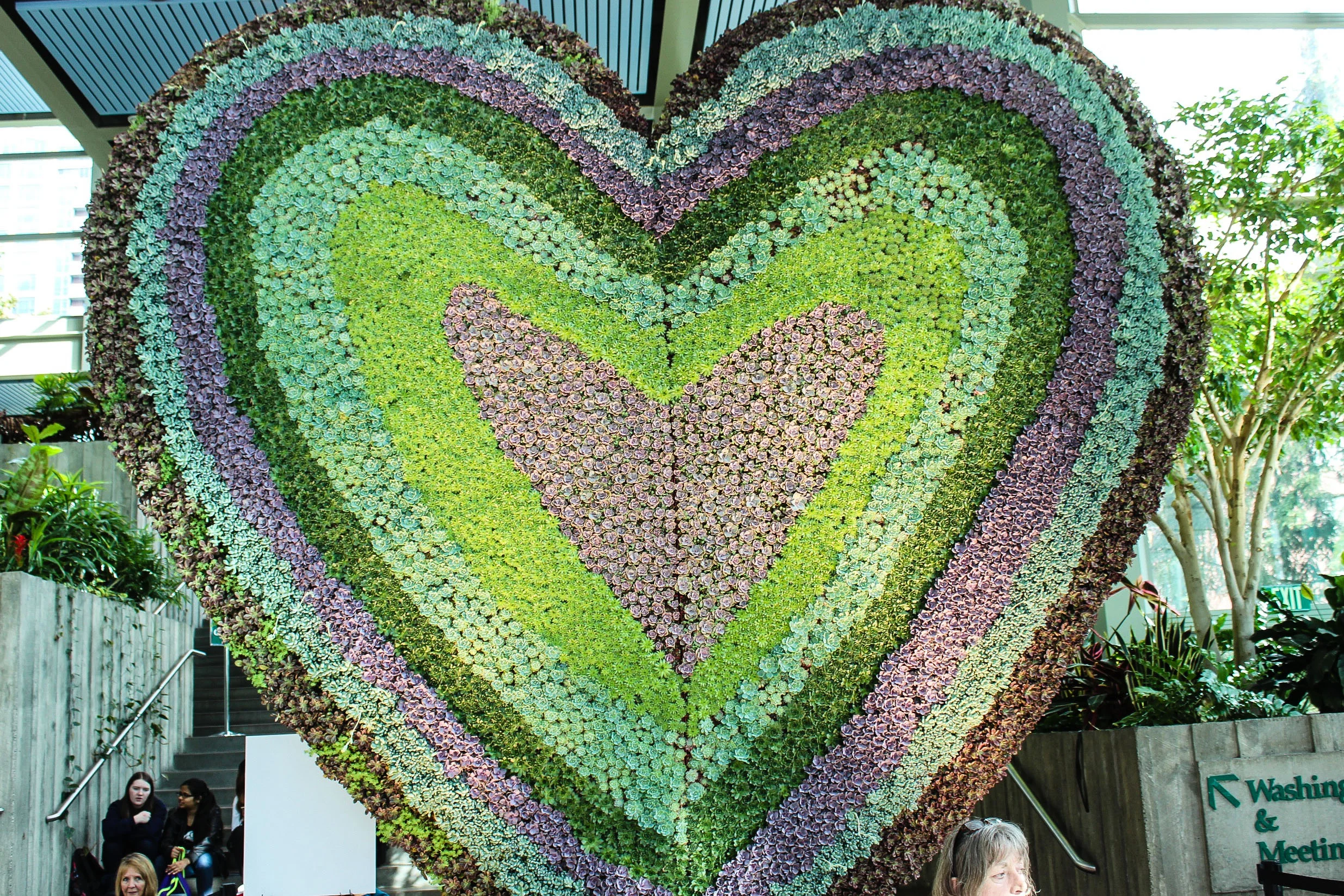 LUB-DUB! Designed by Robin Stockwell of Succulent Gardens
