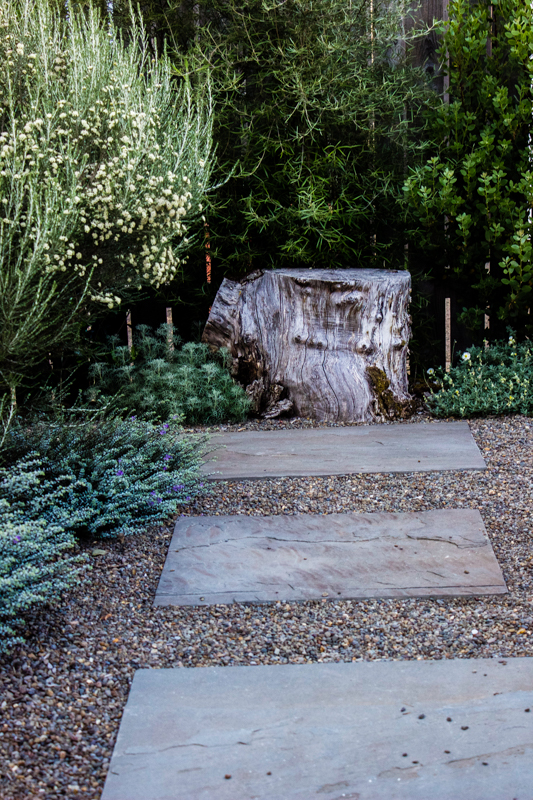His back garden uses stumps to cap the gravel pathways studded with square cut bluestone. Simple and beautiful. Now let's take a closer look at some of the plants.