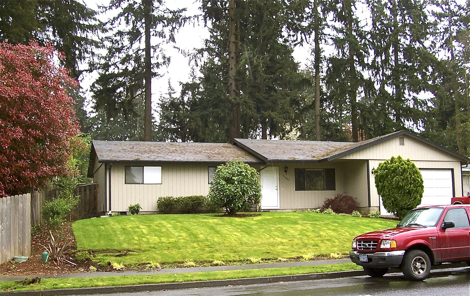 Let's take another look at that mossy lawn and tortured foundation plantings.