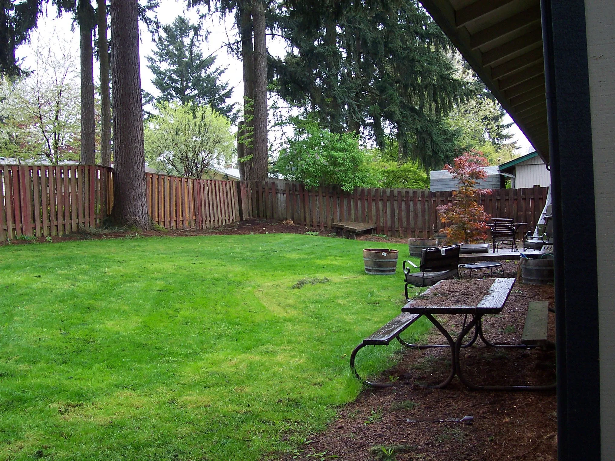 Just a backyard filled with lawn and edged with bark dust.