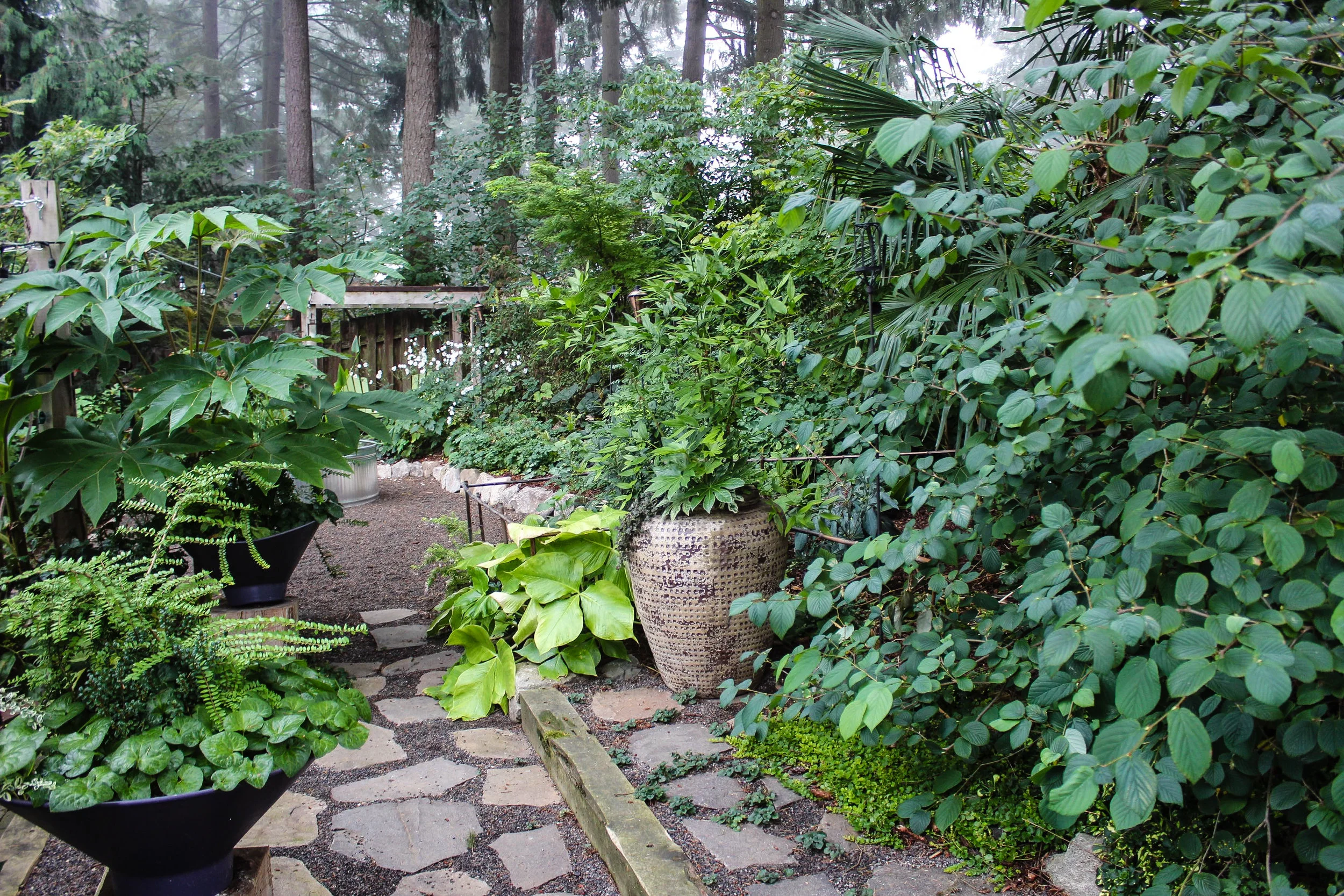 backwaterjungleview5.jpg