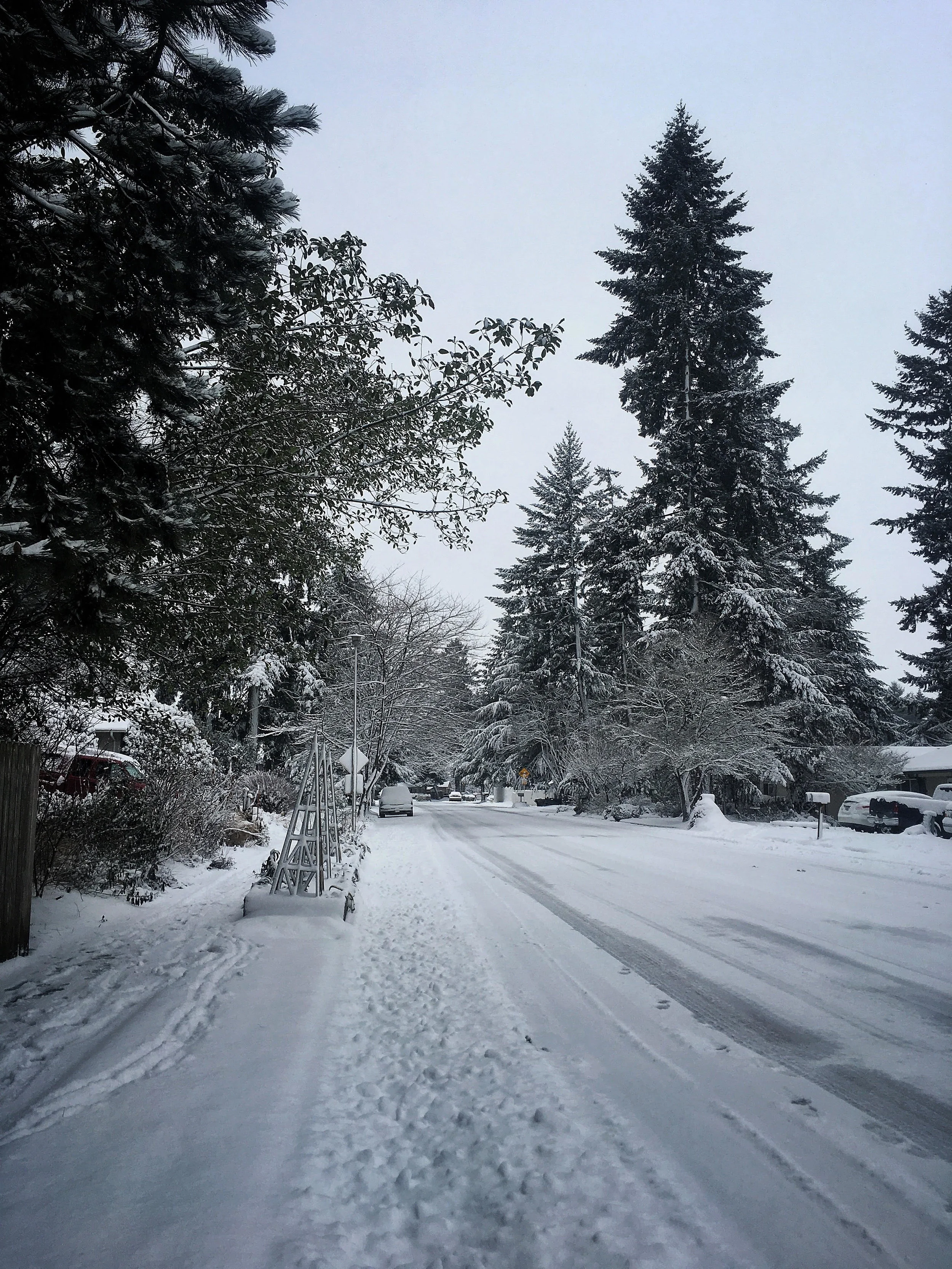 View of our street on Wednesday morning