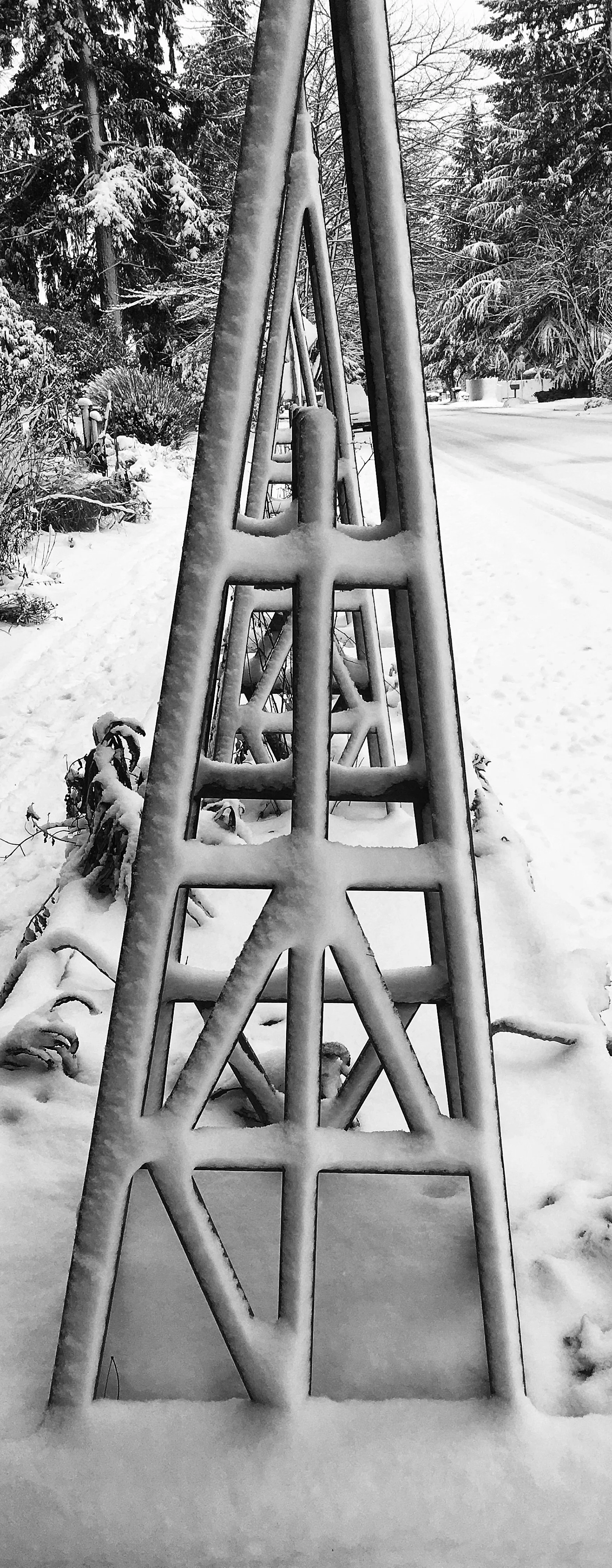 trellises on Wednesday morning
