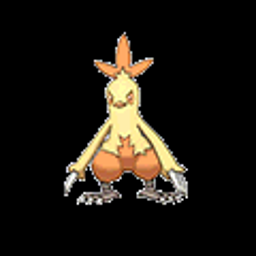 Combusken, fire type