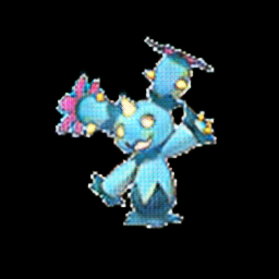 Maractus as water type