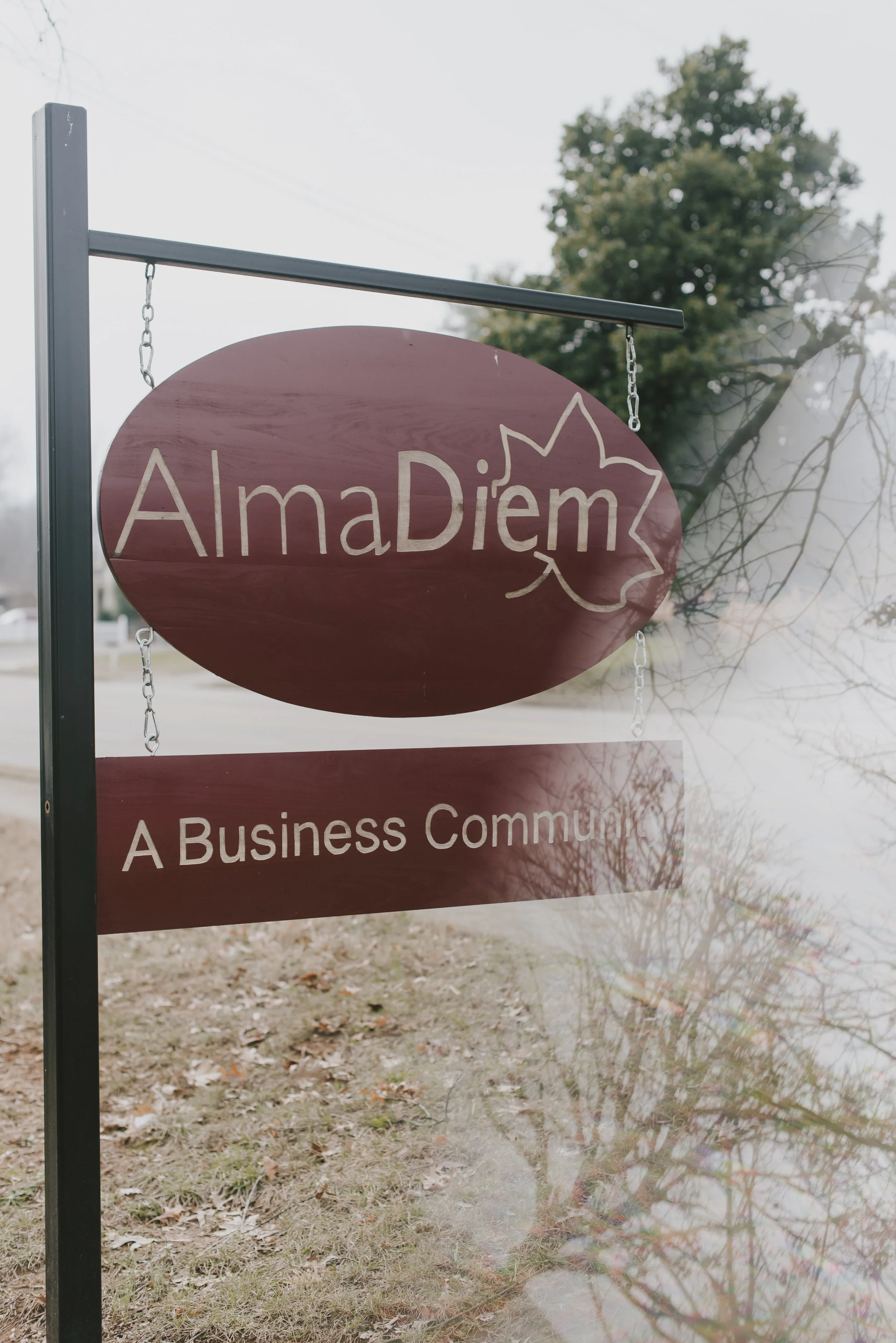 alma diem -0001.jpg