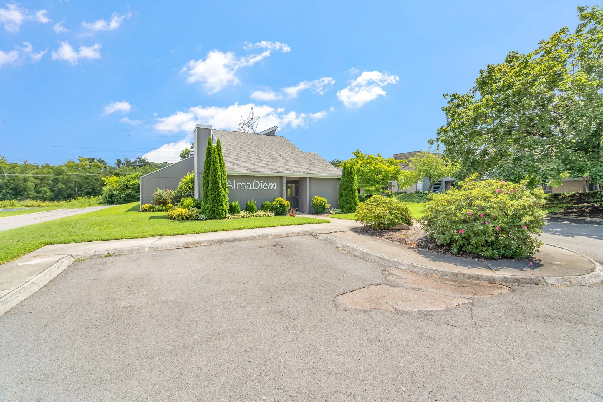 9-web-or-mls-AlmaDiem-100.jpg