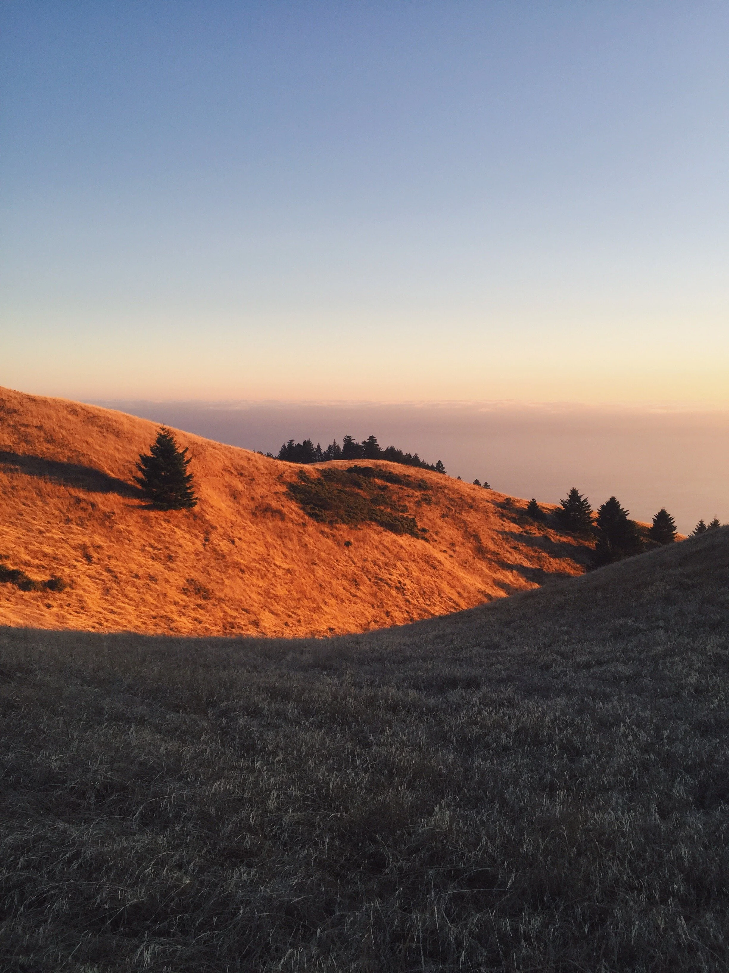 Golden Hour on Mt. Tam