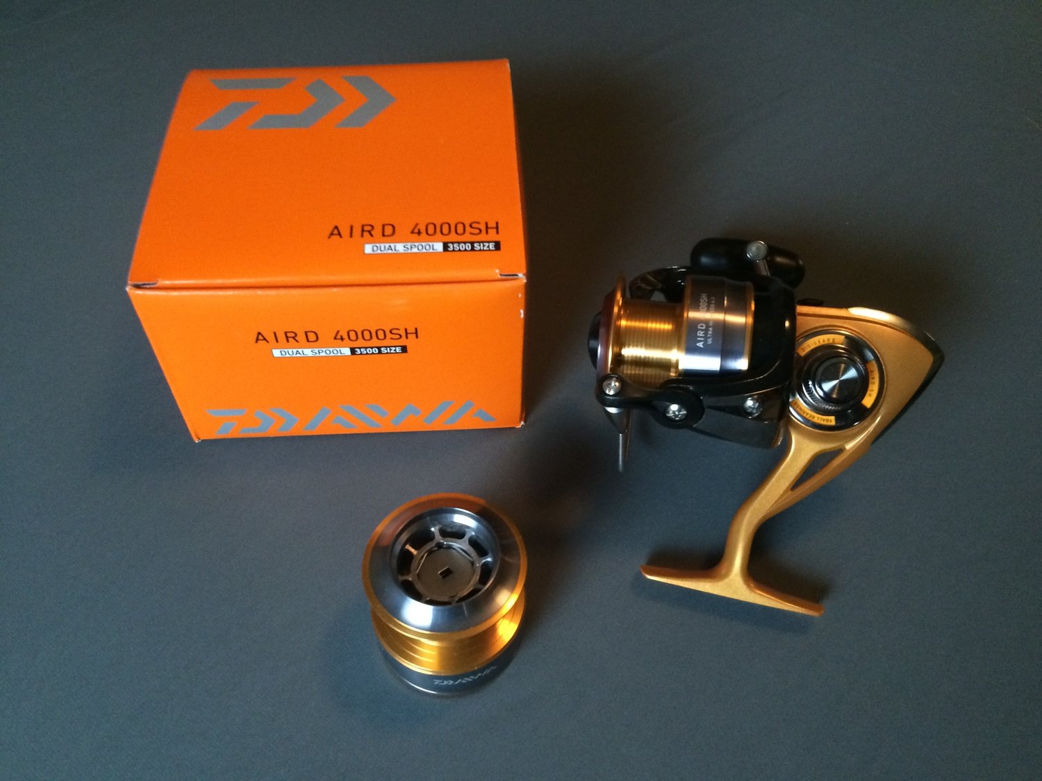 daiwa 2500 reels Daiwa Exceler LT 2500 Spinning Reel