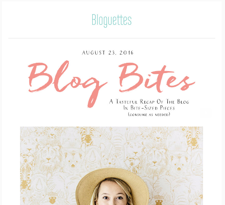 bloguettes newsletter.png