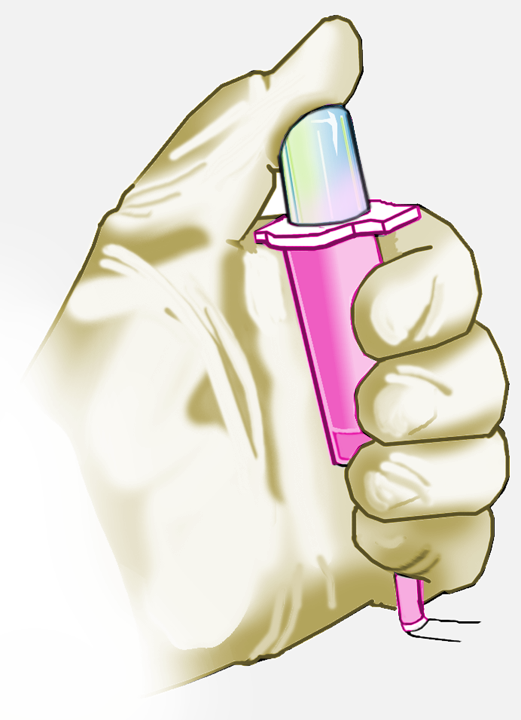 4-CHand-HolC&C.png