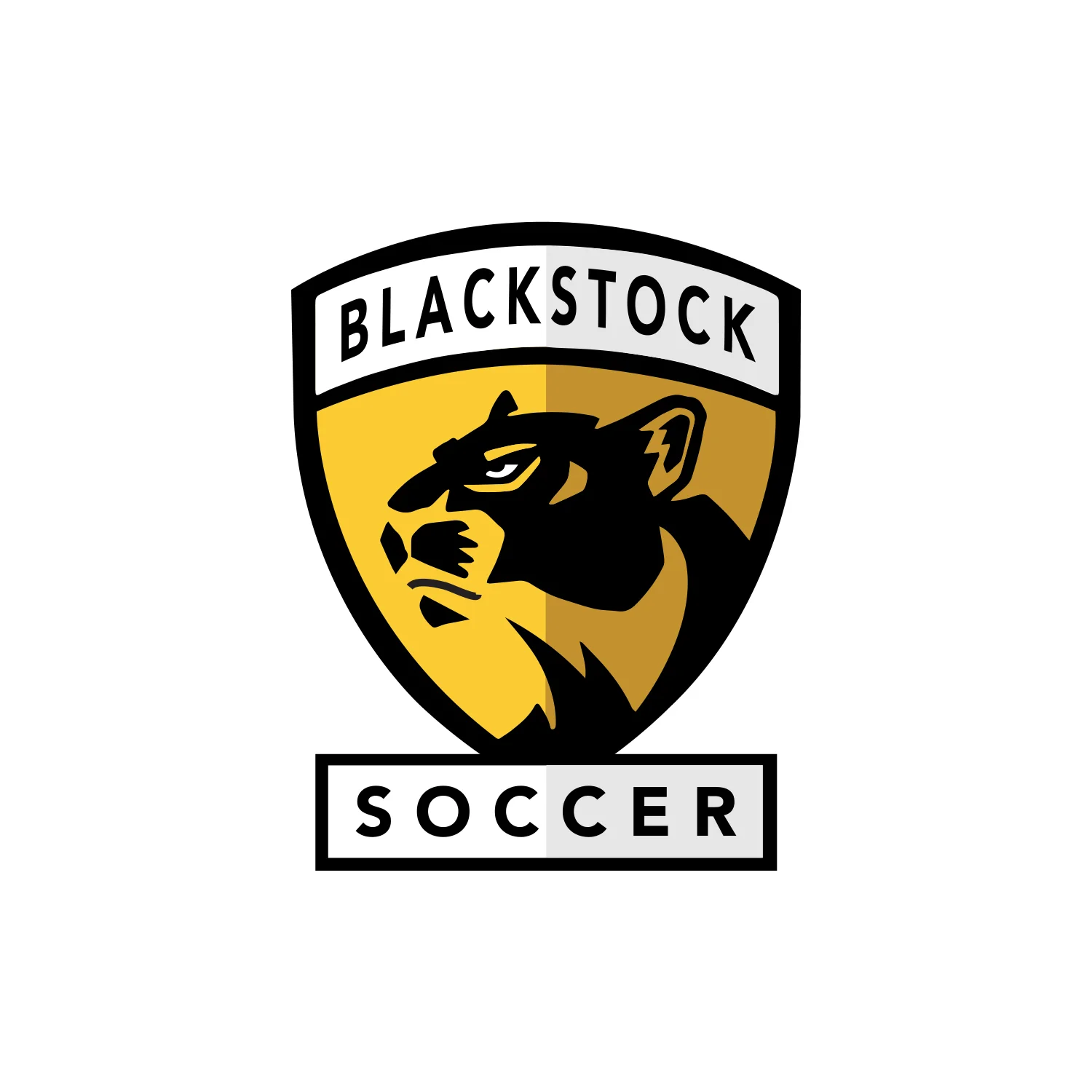 BLACKSTOCK.jpg