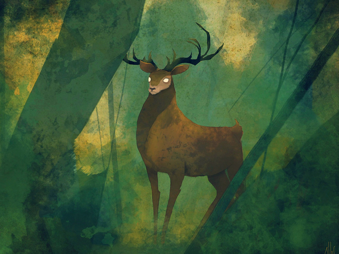 Deer.jpg