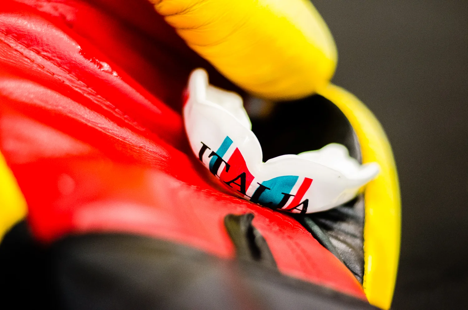 Mouthguard and gloves