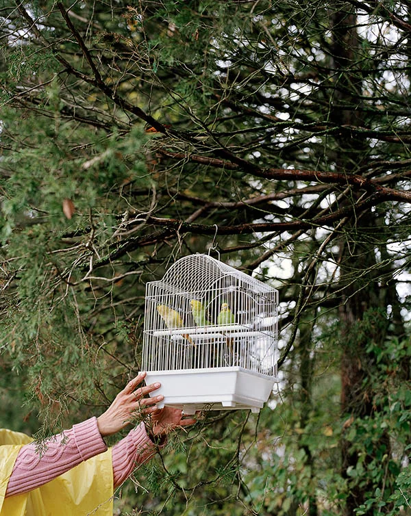 Amy Stein , Cage, digital c-print, 20 x 16”, 2005