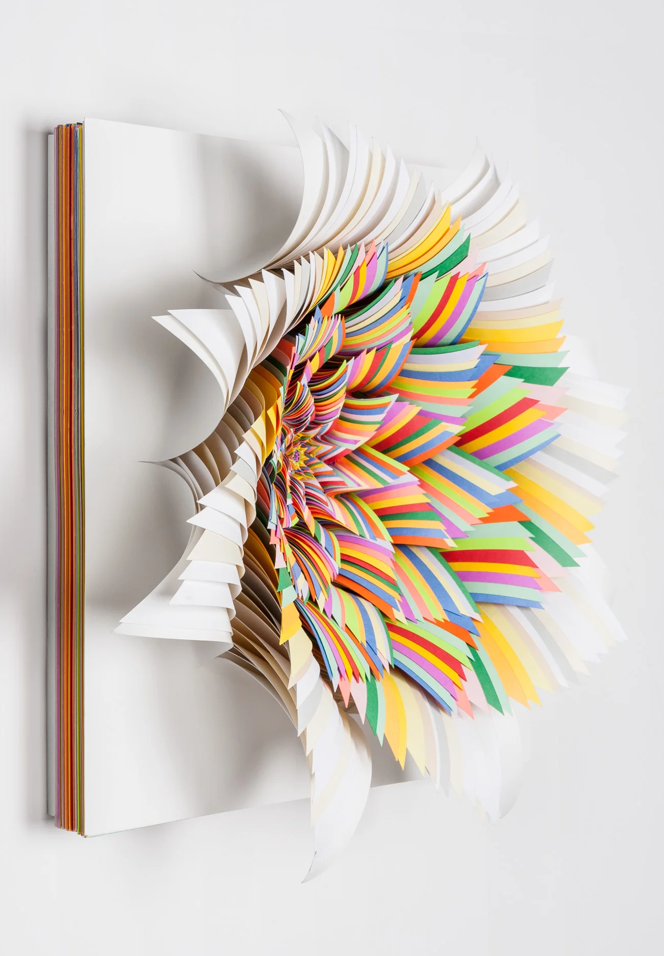 Jen Stark , Coriolis Effect , hand-cut paper on wood backing, 12 x 12 x 3 inches, 2007