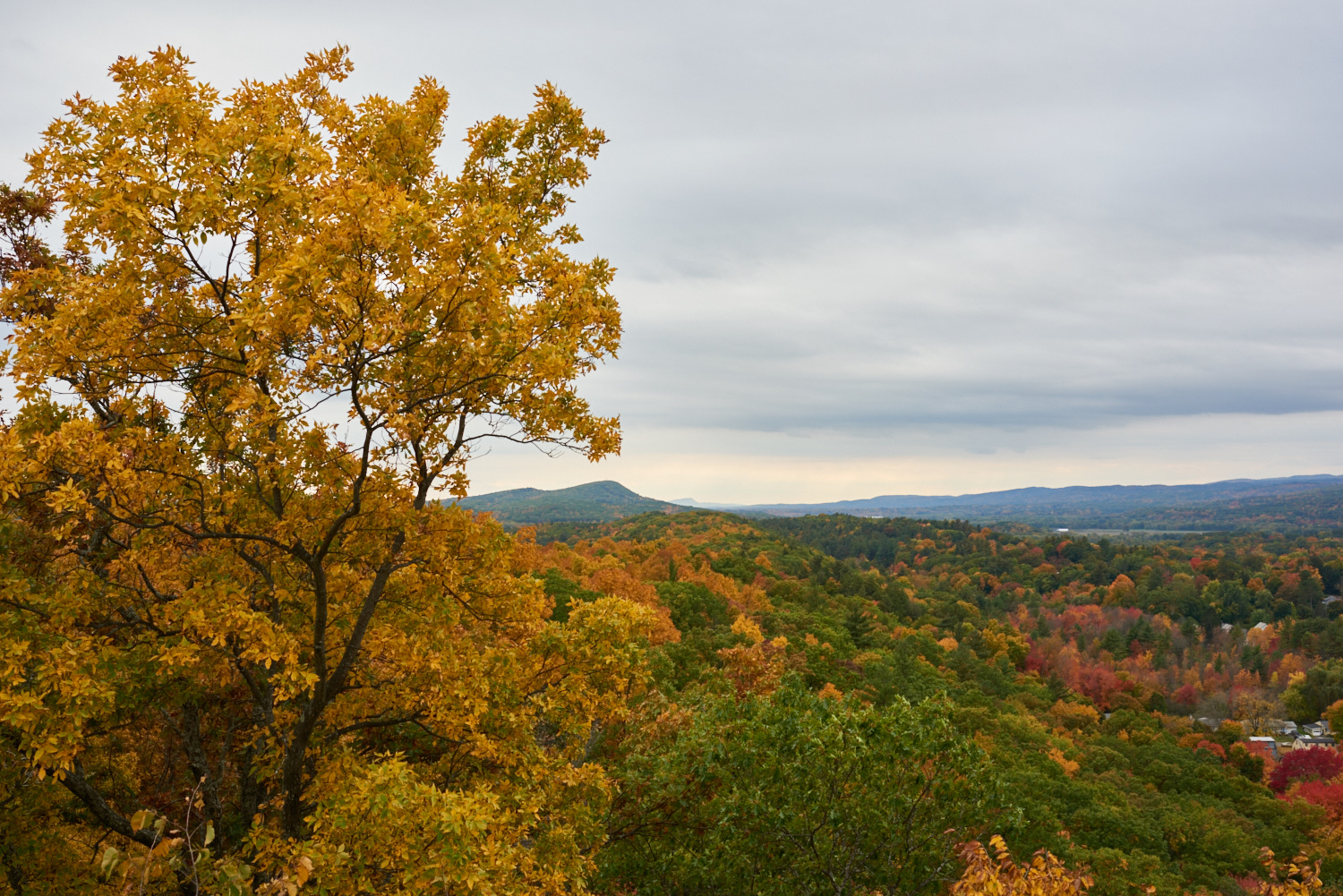  Looking South from Poet's Seat Tower. © 2016 harlan erskine.