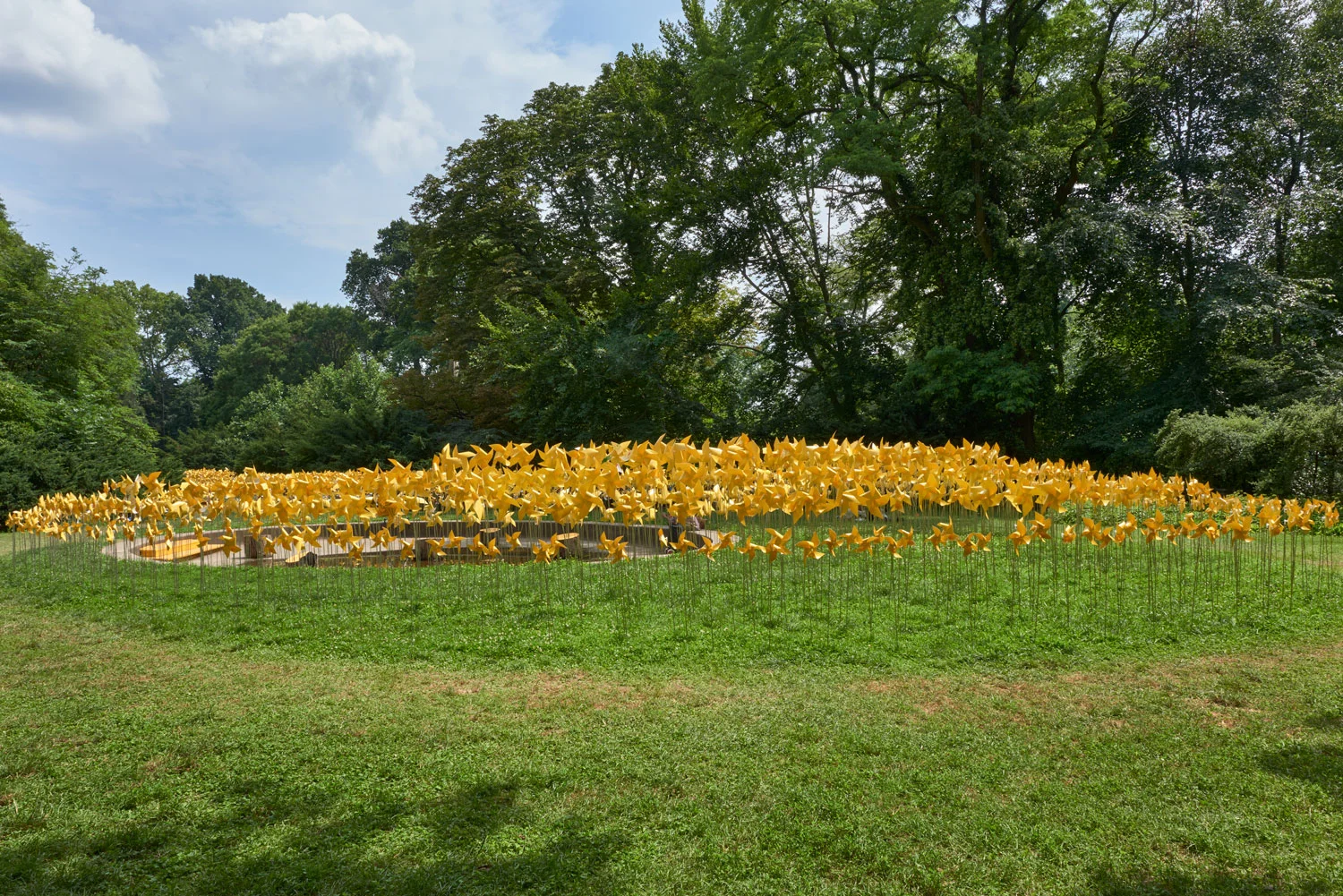 Overview of the Connective Project in Prospect Park, Brooklyn. Image © harlan erskine