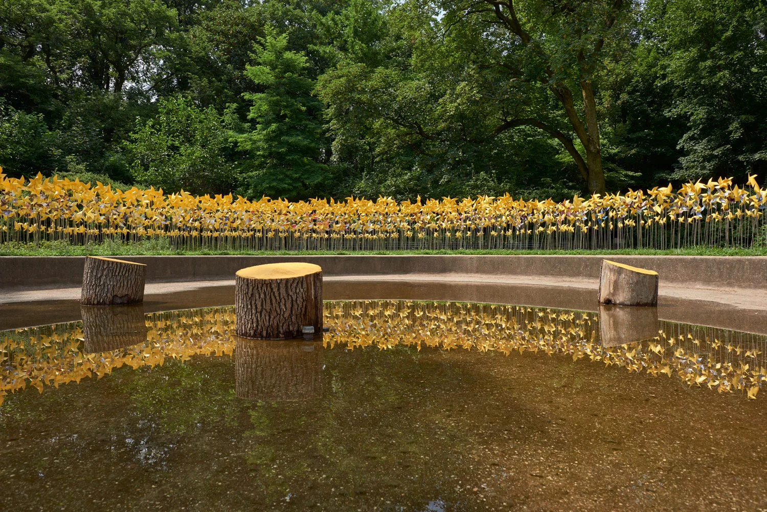 Three stump chairs at the Connective Project in Prospect Park, Brooklyn. Image © harlan erskine