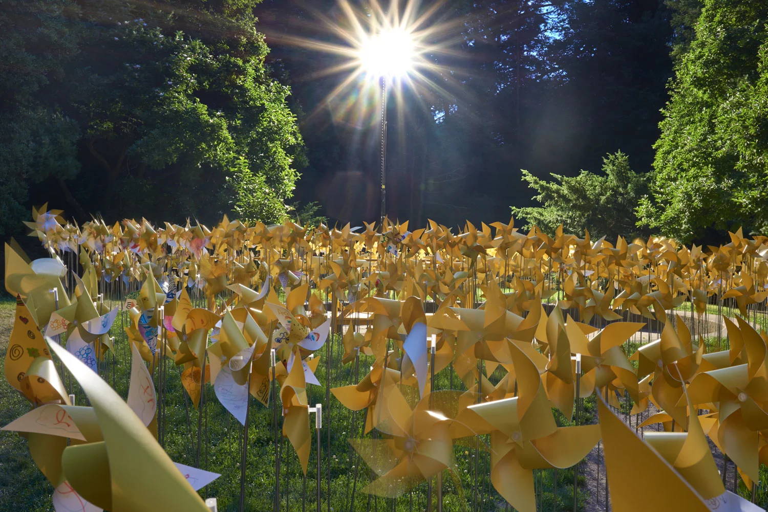 Nightlight over the Connective Project in Prospect Park, Brooklyn. Image © harlan erskine
