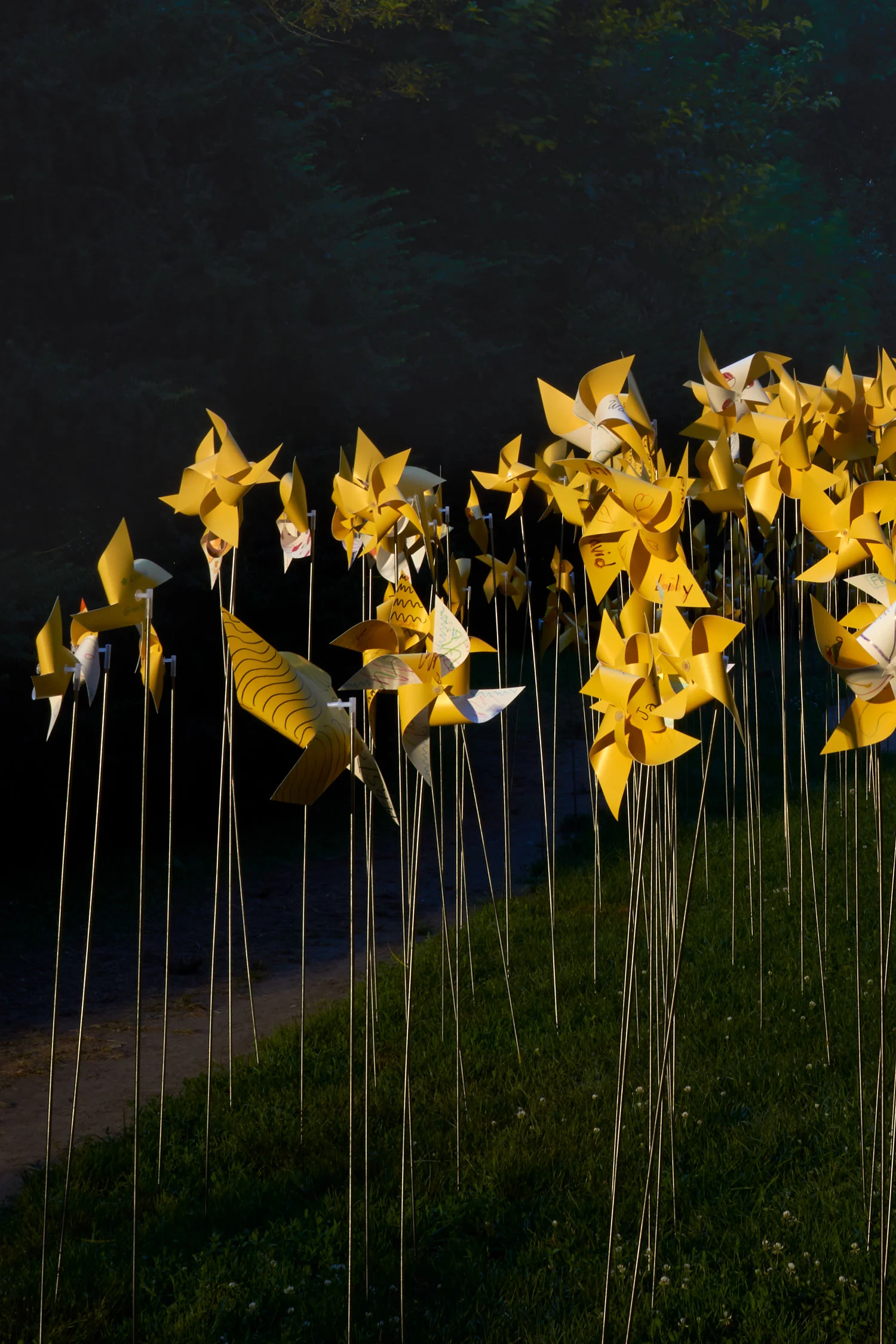 Evening at the Connective Project in Prospect Park, Brooklyn. Image © harlan erskine