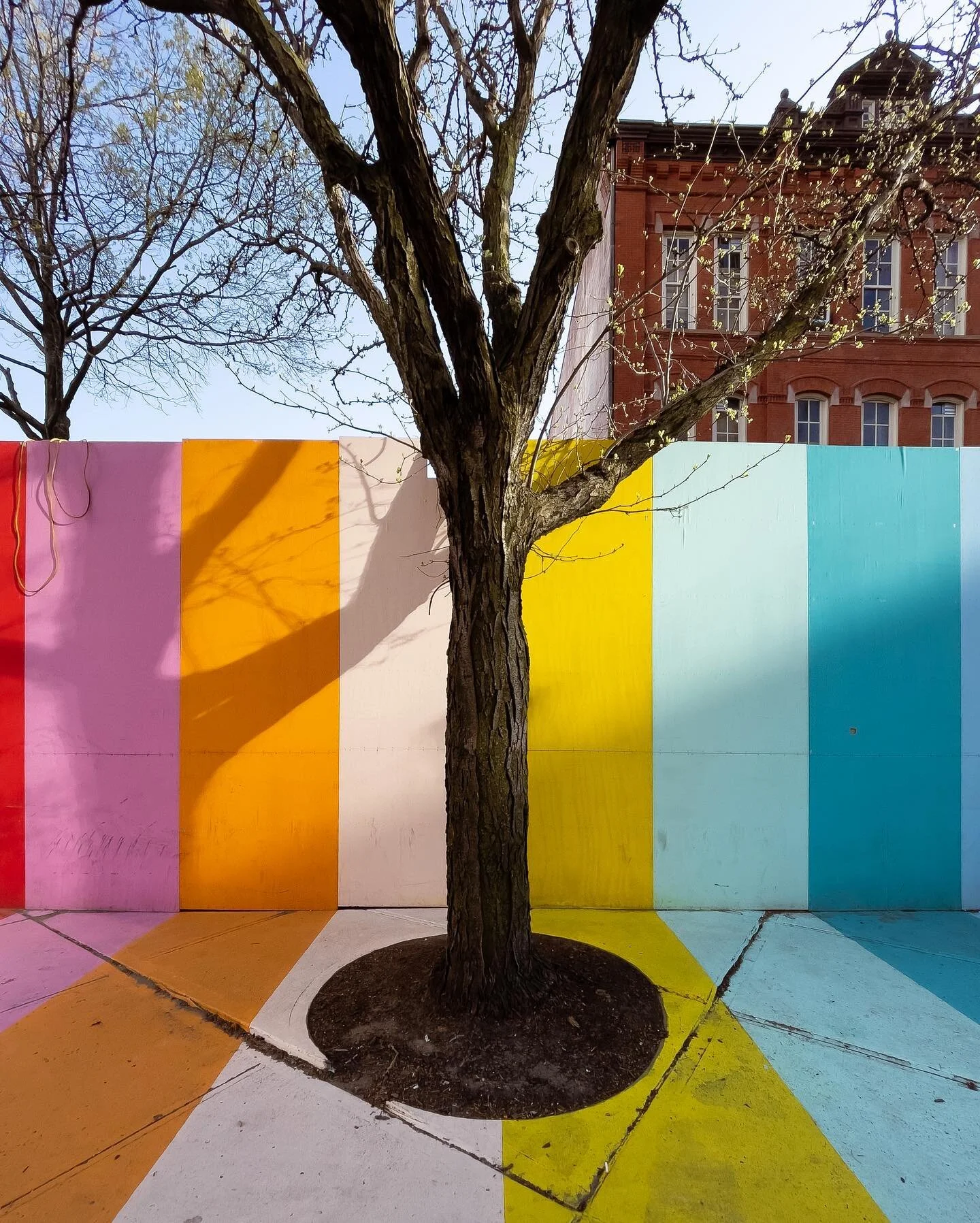 #spring is #popping in #brooklyn