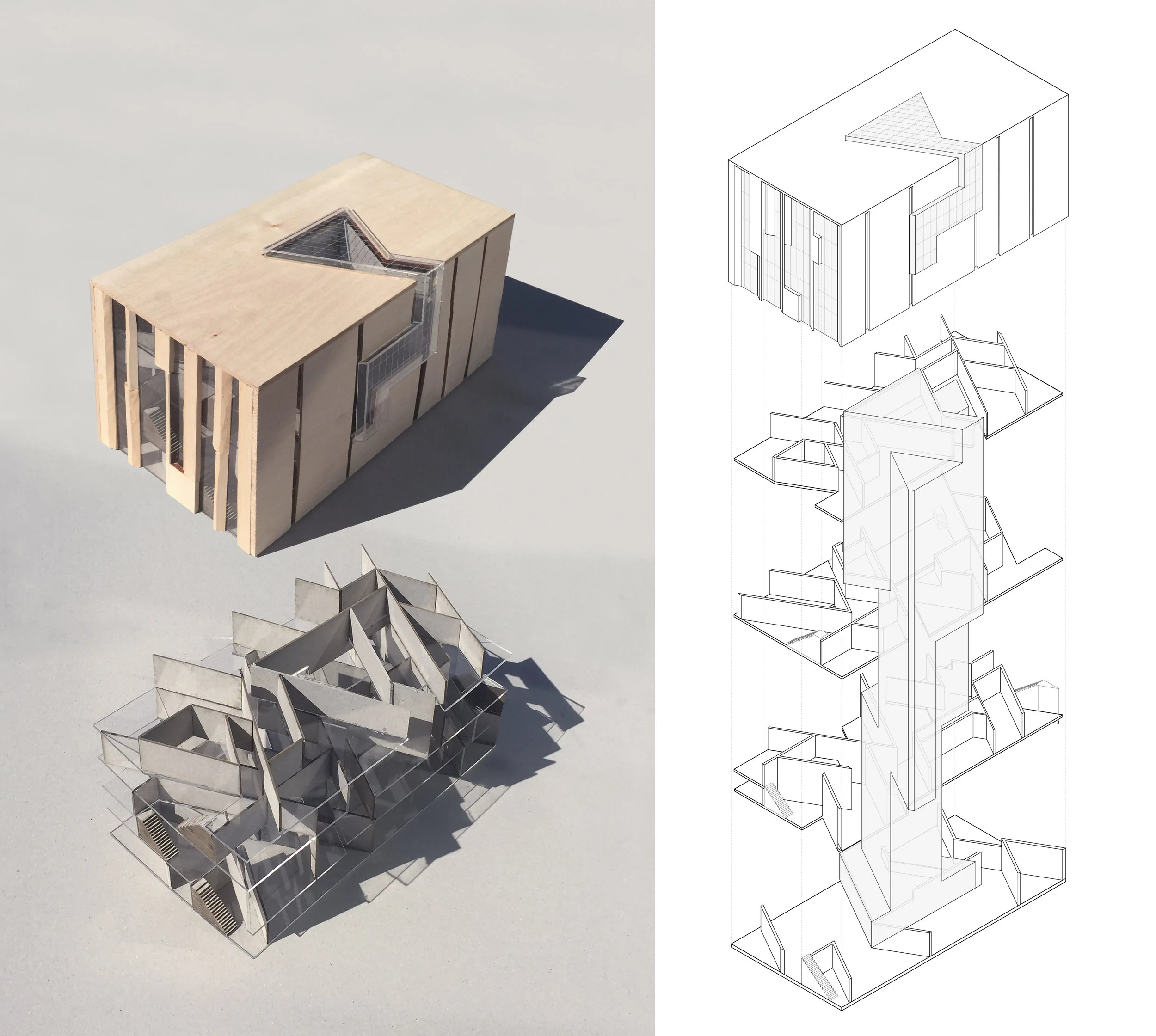 modelscombined2.jpg