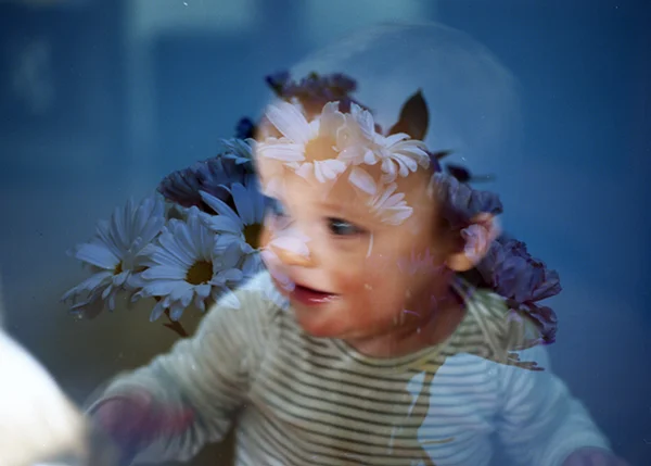 january 3, 2017 - double exposure, flowers from matthew & silence on the move