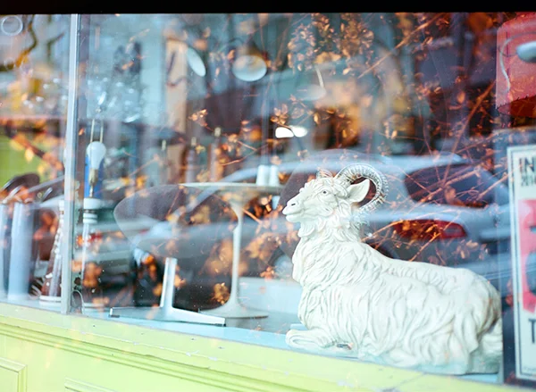 window friend, father & son antiques, downtown raleigh.
