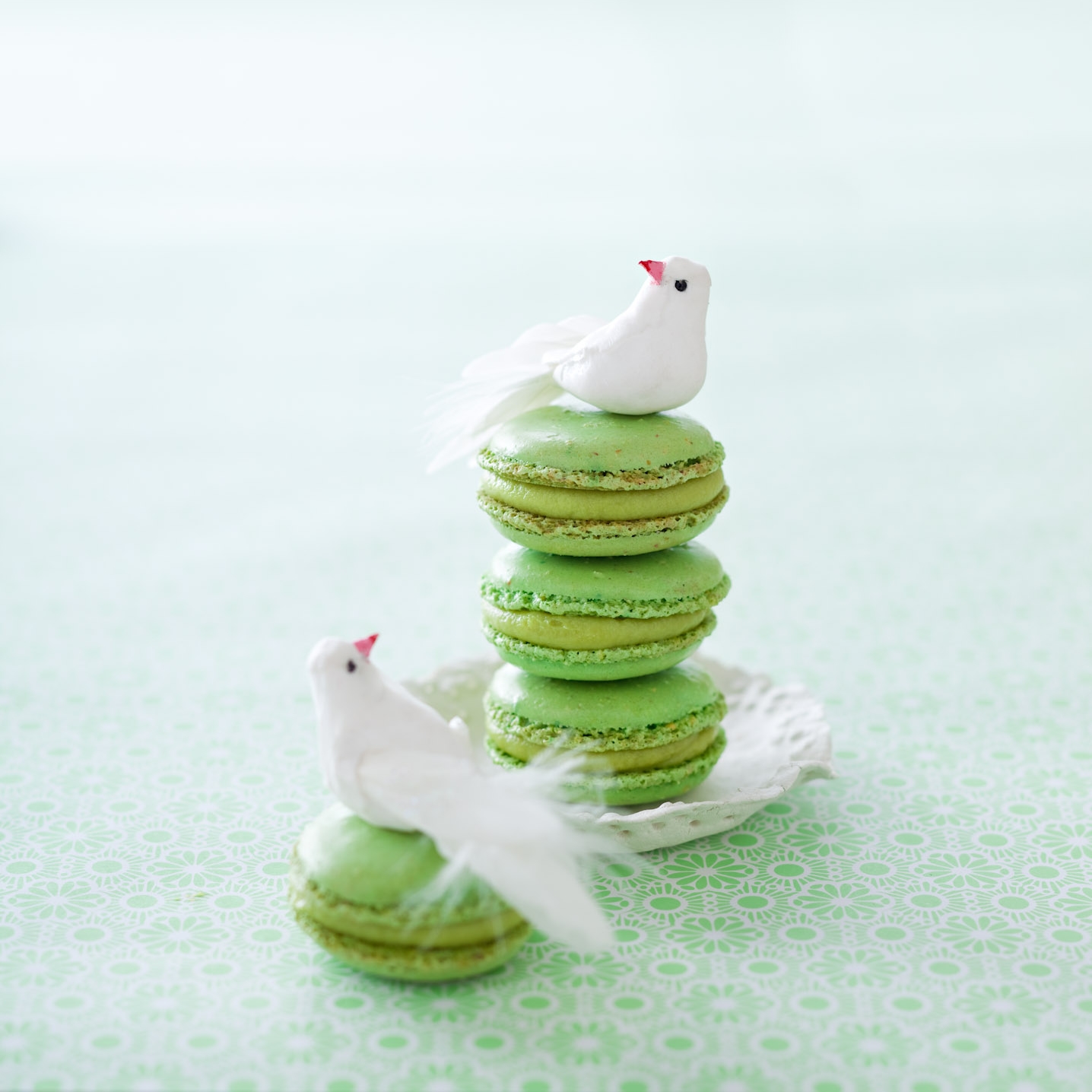 Macaron pistache