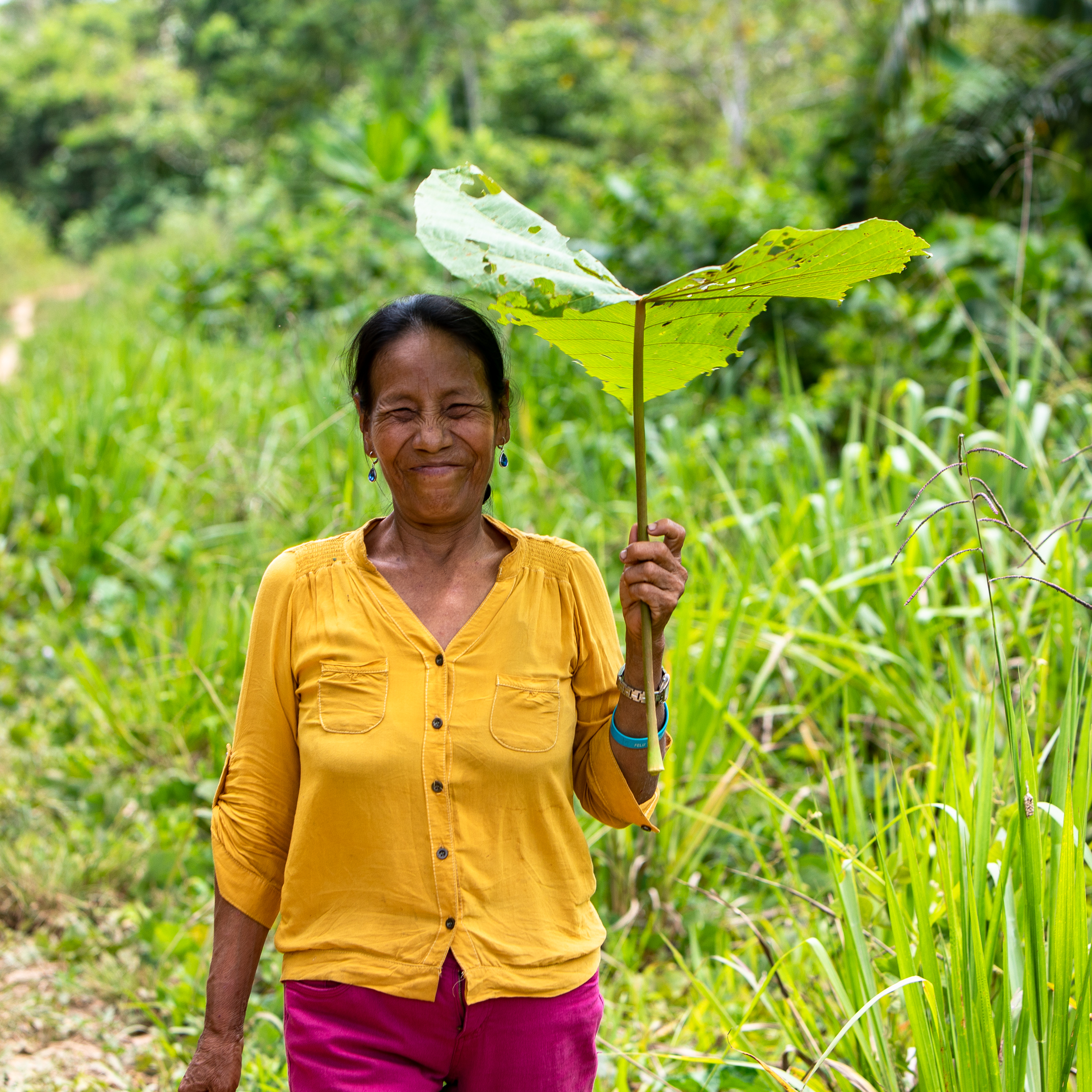 Adam Dickens 2018 - Plant your Future, Peru 3743.jpg
