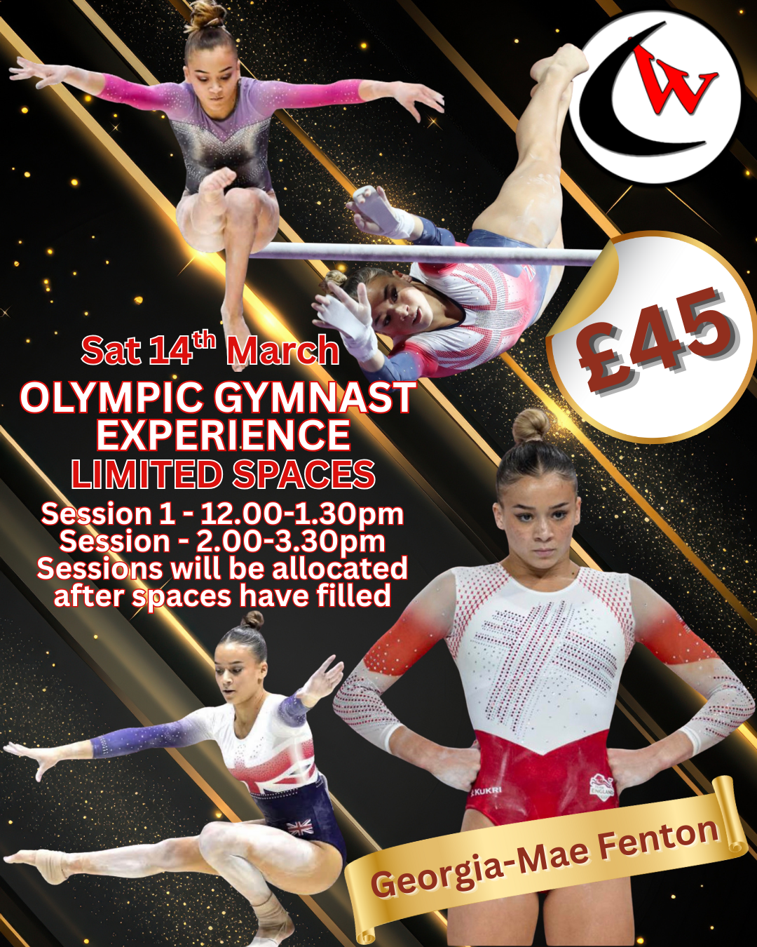 OLYMPIC GYMNAST EXPERIENCE.PNG